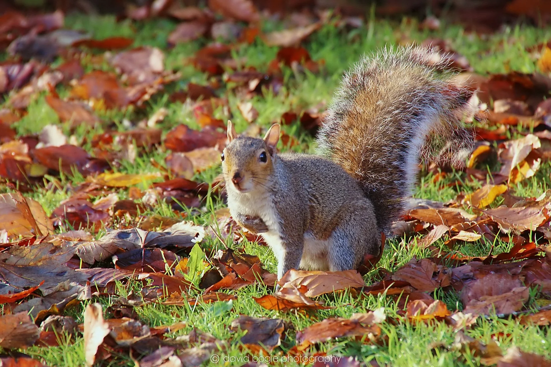 YEAR20231107 Beveridge Park 0299.jpg