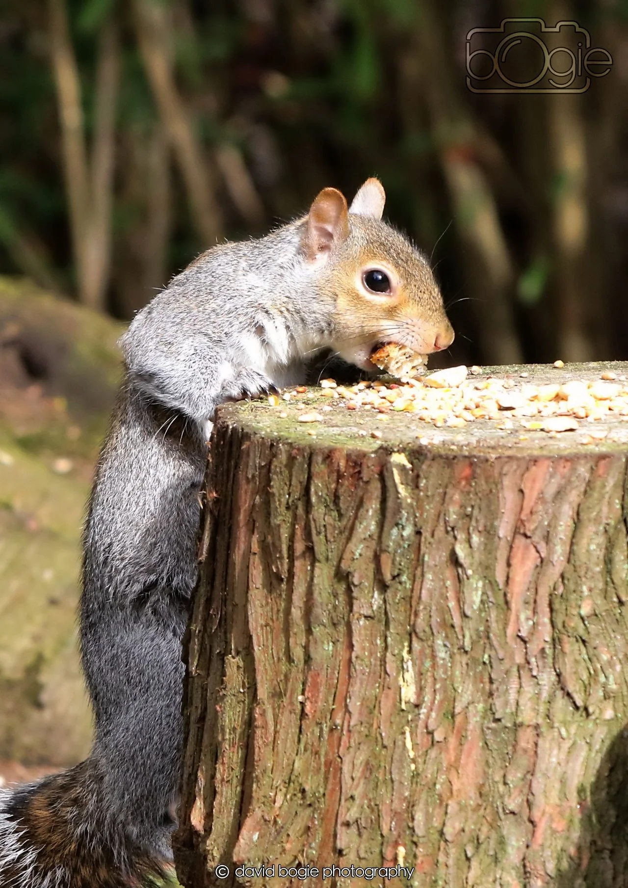 20260330 122128 Dunnikier 0421.jpg