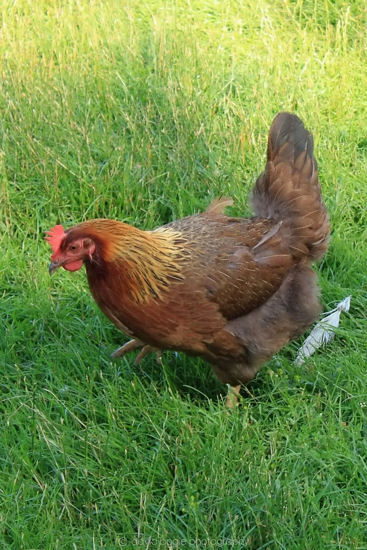 20190722 163610 Beamish .jpg