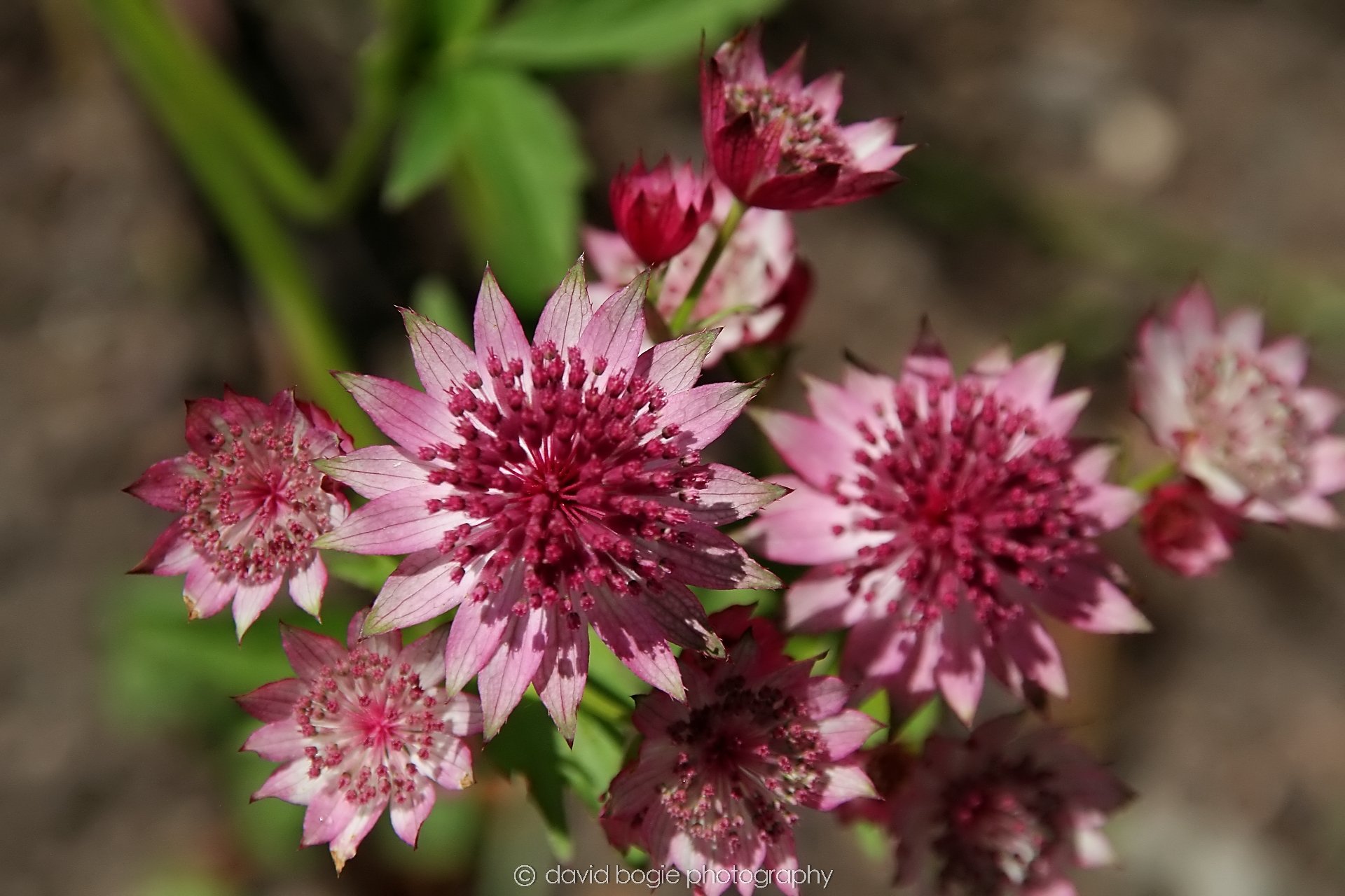 YEAR20240610 130855 Silverburn 0031.jpg
