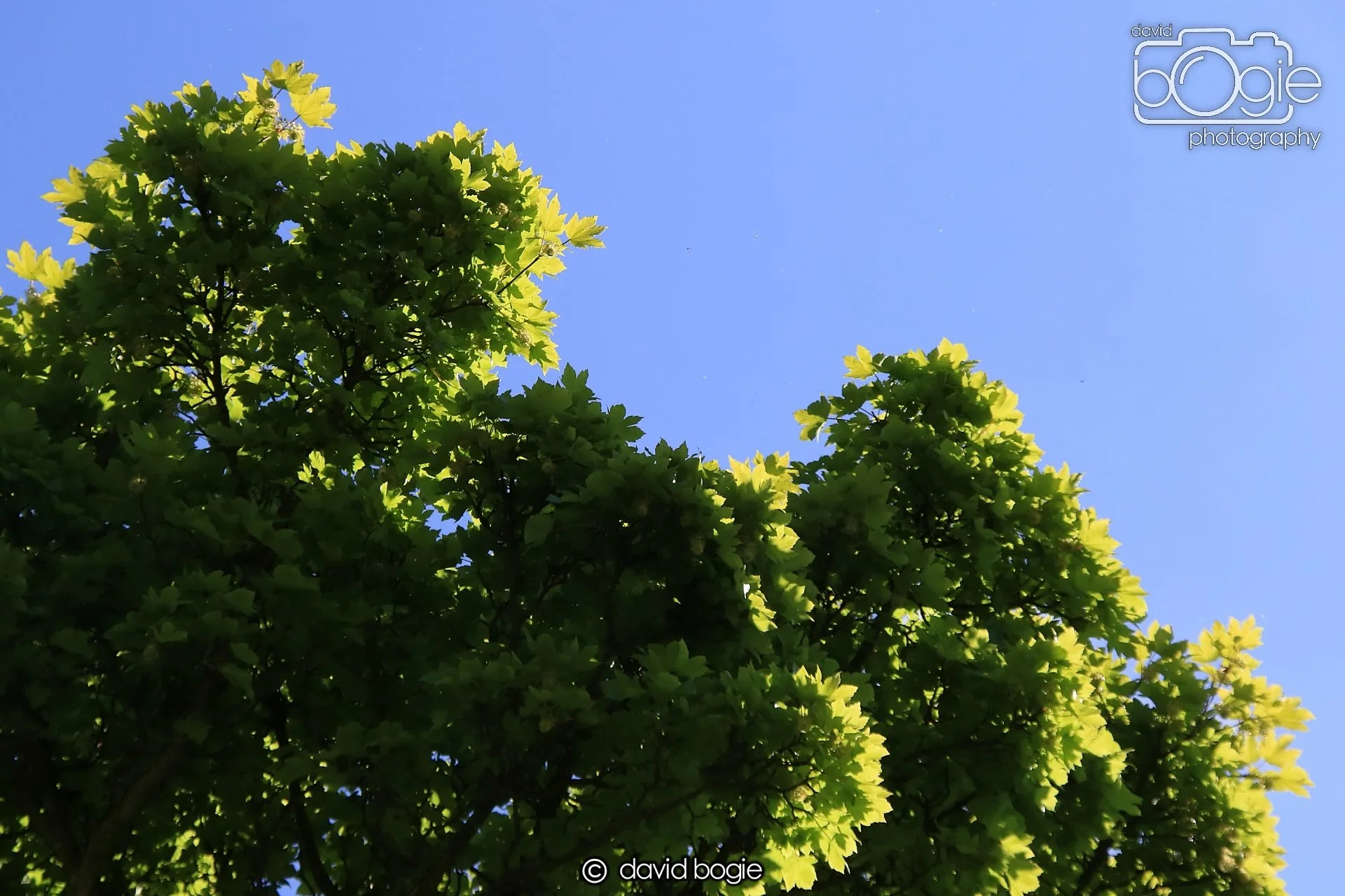 20250505 135622 Beveridge Park 1008.JPG