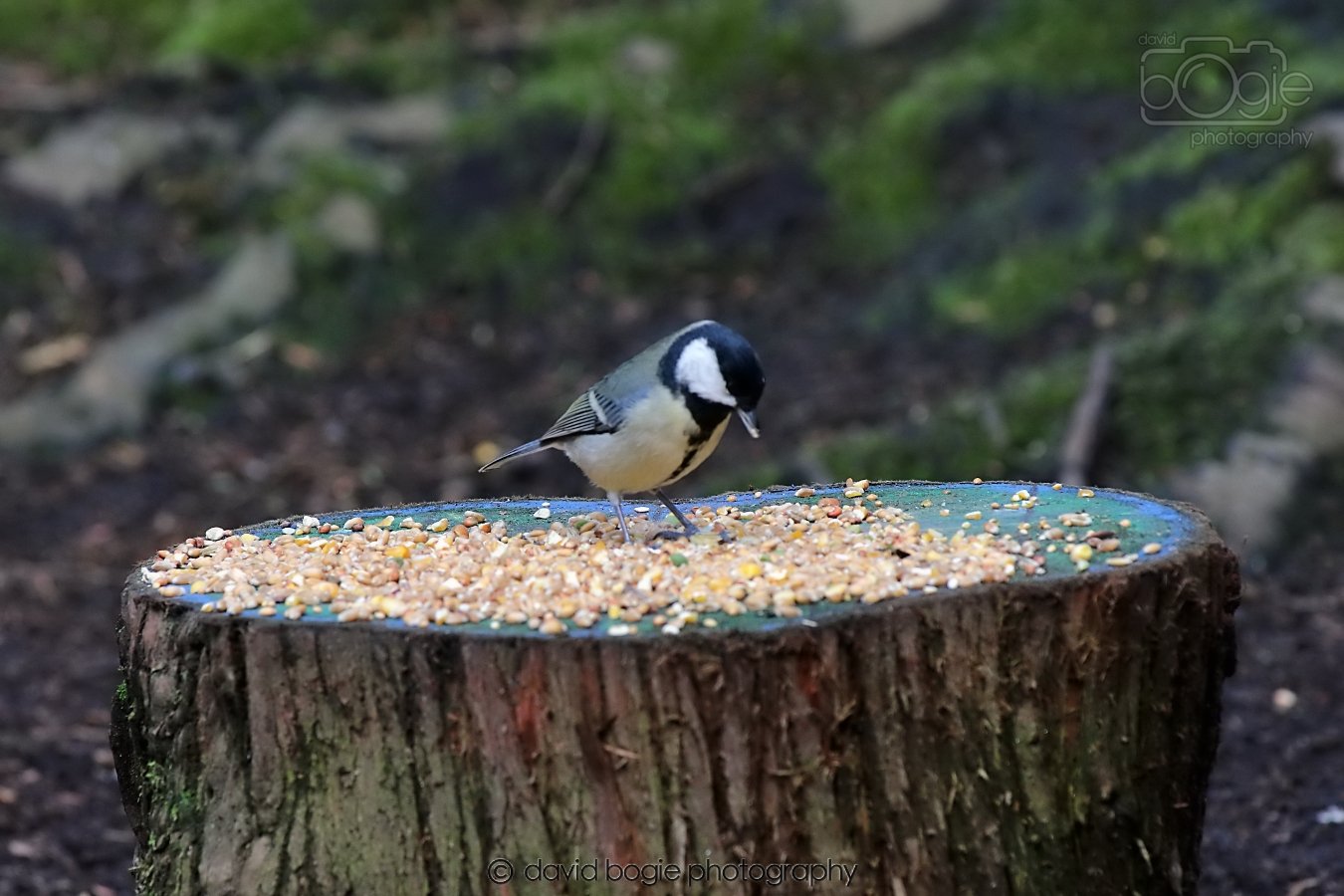 20260306 122507 Dunnikier 0669.jpg