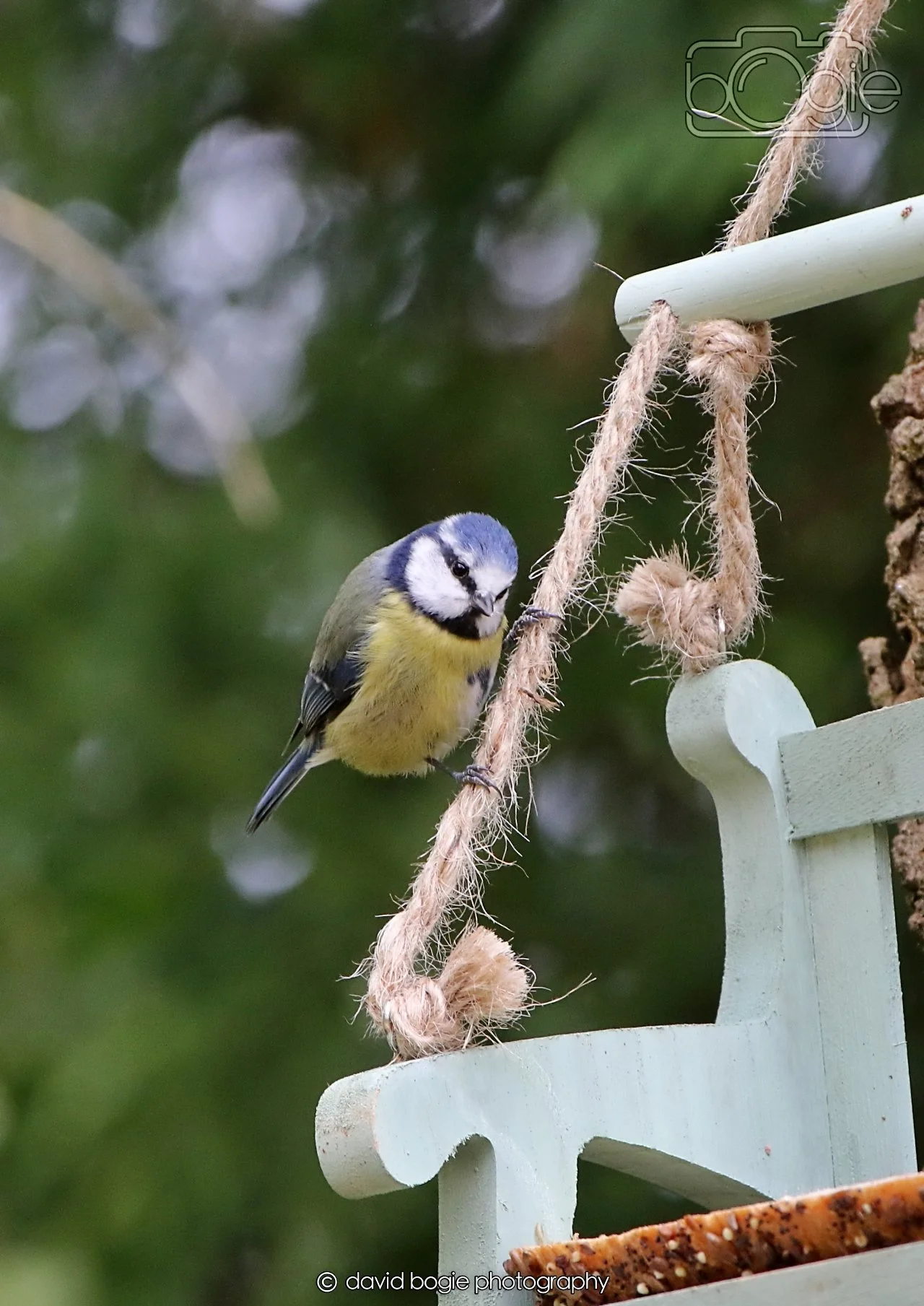 20260330 111333 Dunnikier 0046.jpg