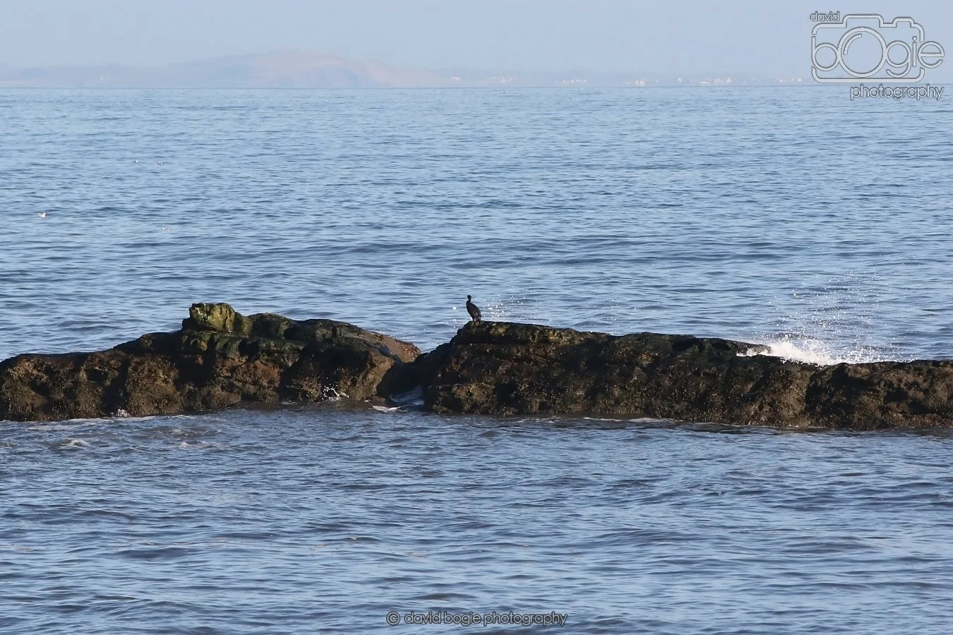 20260119 124144 IMG_0009.JPG