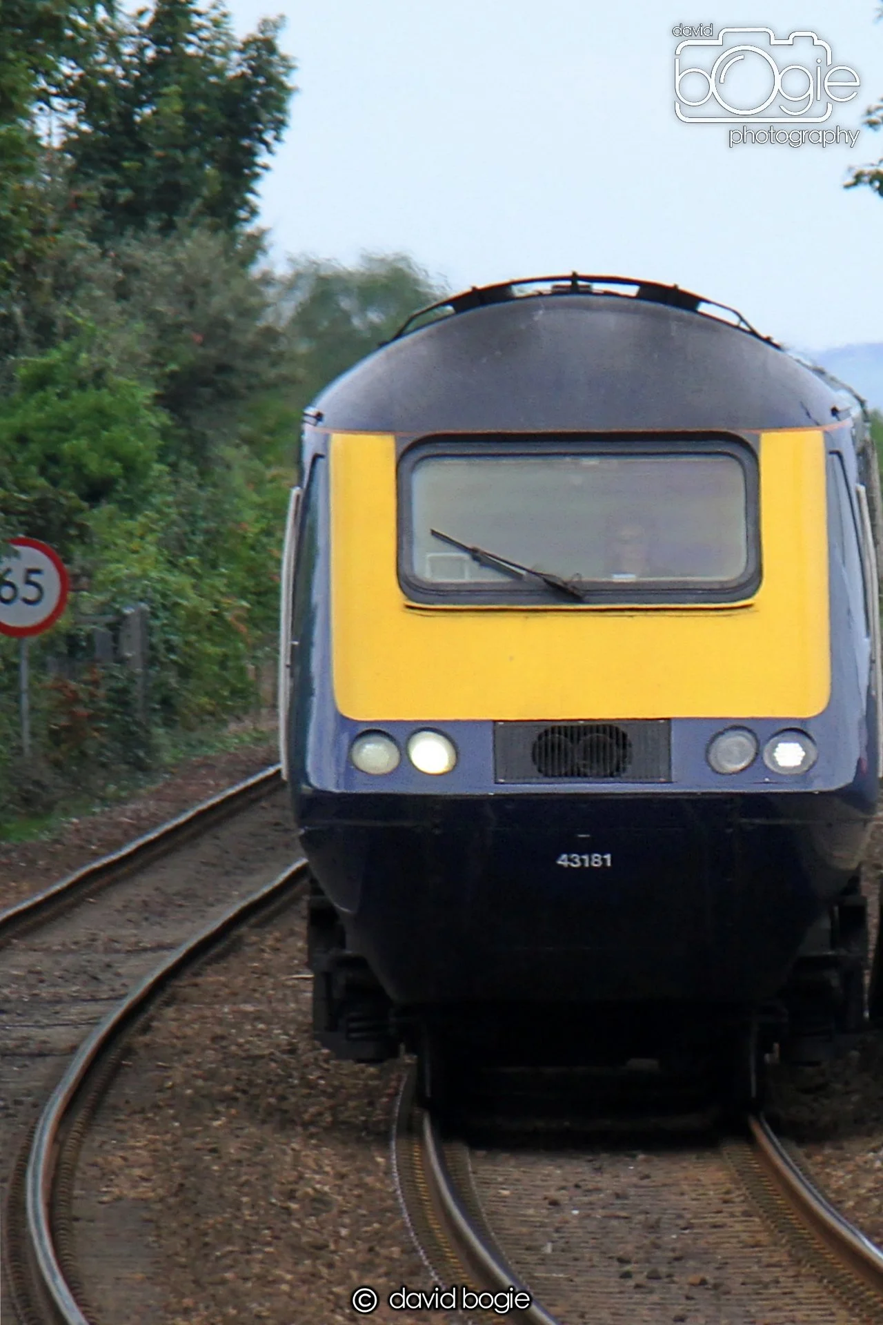 20230814 Kinghorn 135846 0214b.jpg