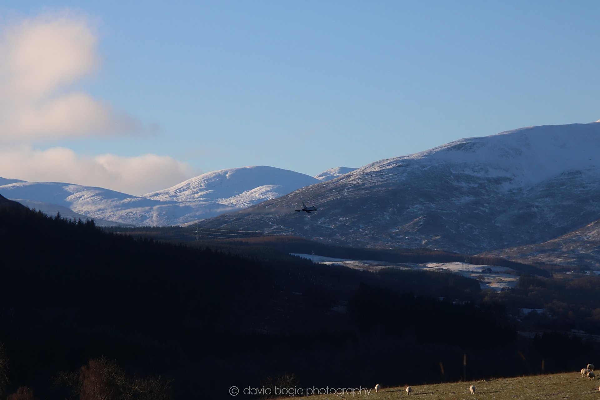 YEAR20221215 00015 Aberfeldy.jpg