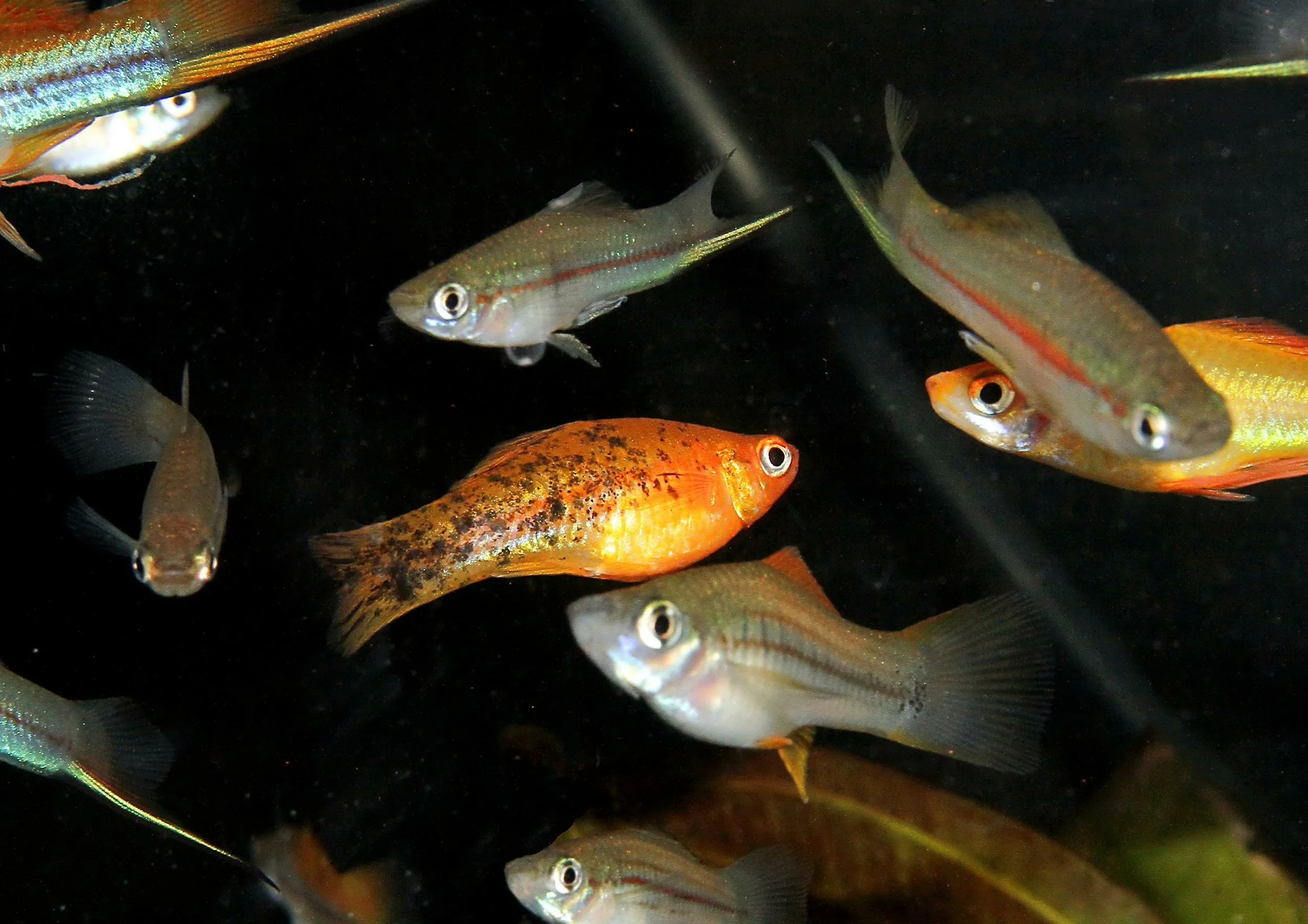 20260403 142720 IMG_0194.jpg