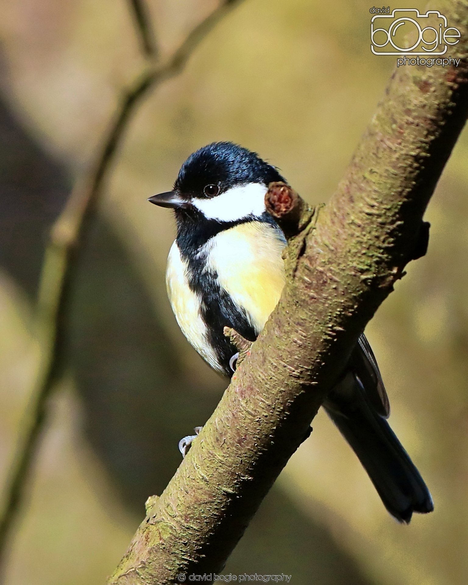 20260128 134619 Dunnikier 0286.JPG