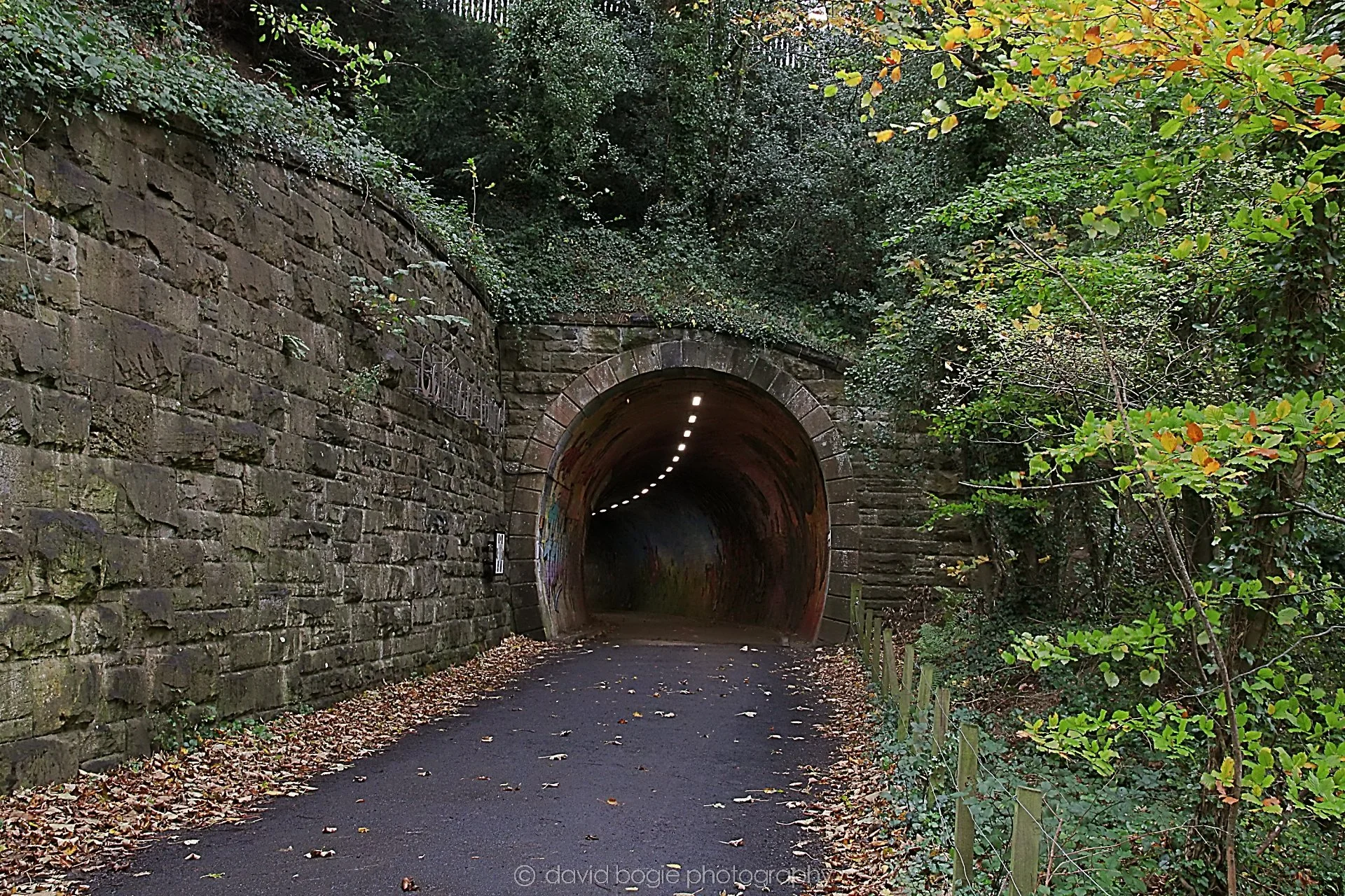 YEAR20221102 135652 Colinton Tunnel 0001.jpg