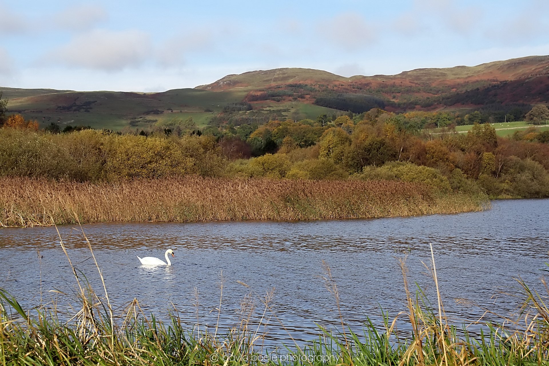 YEAR20231023 Lochore Meadows 122338 0355.jpg