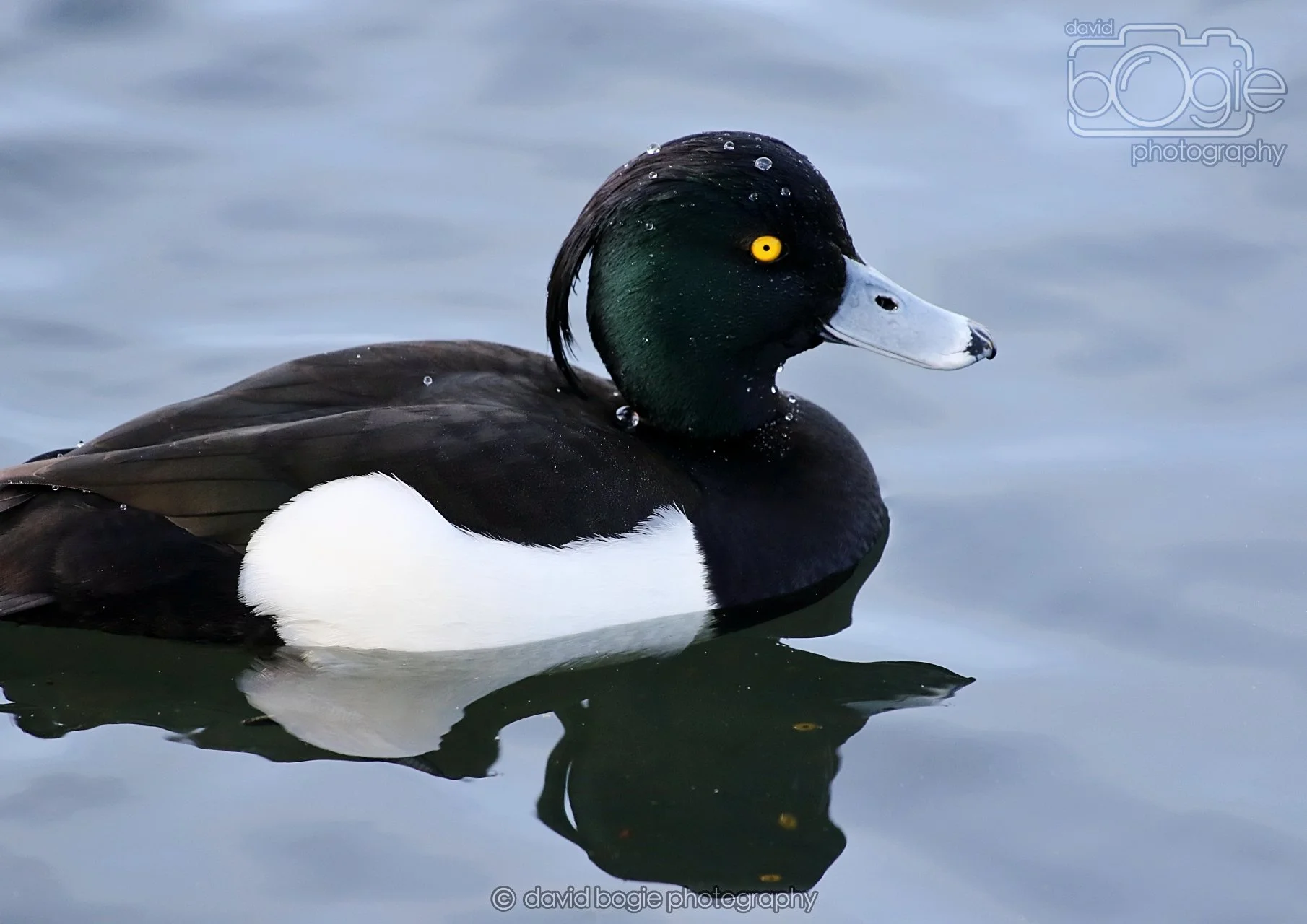 20260319 133528 Beveridge Park 0497.jpg