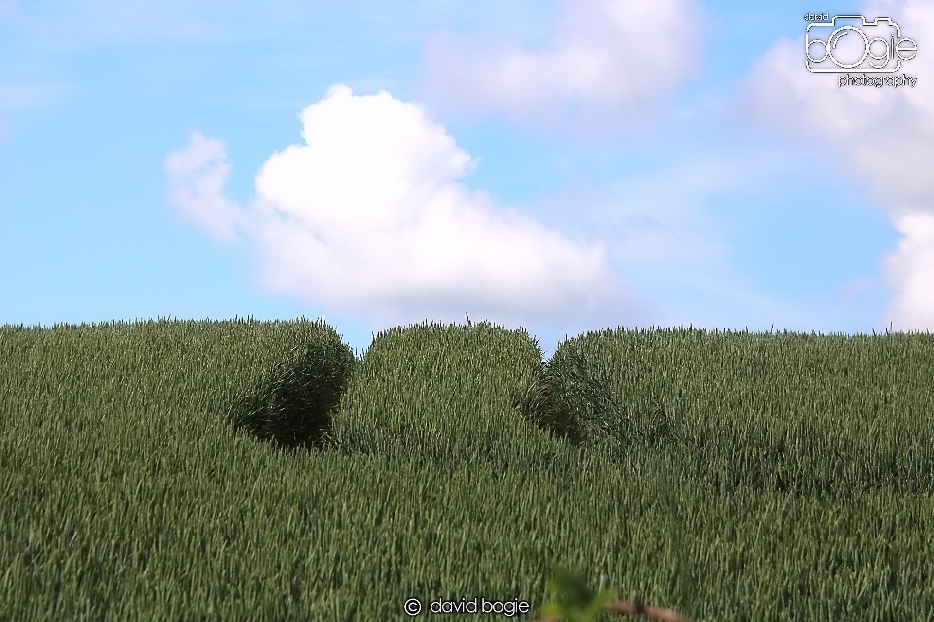 20210716 171950 Dunmore 0025  .JPG