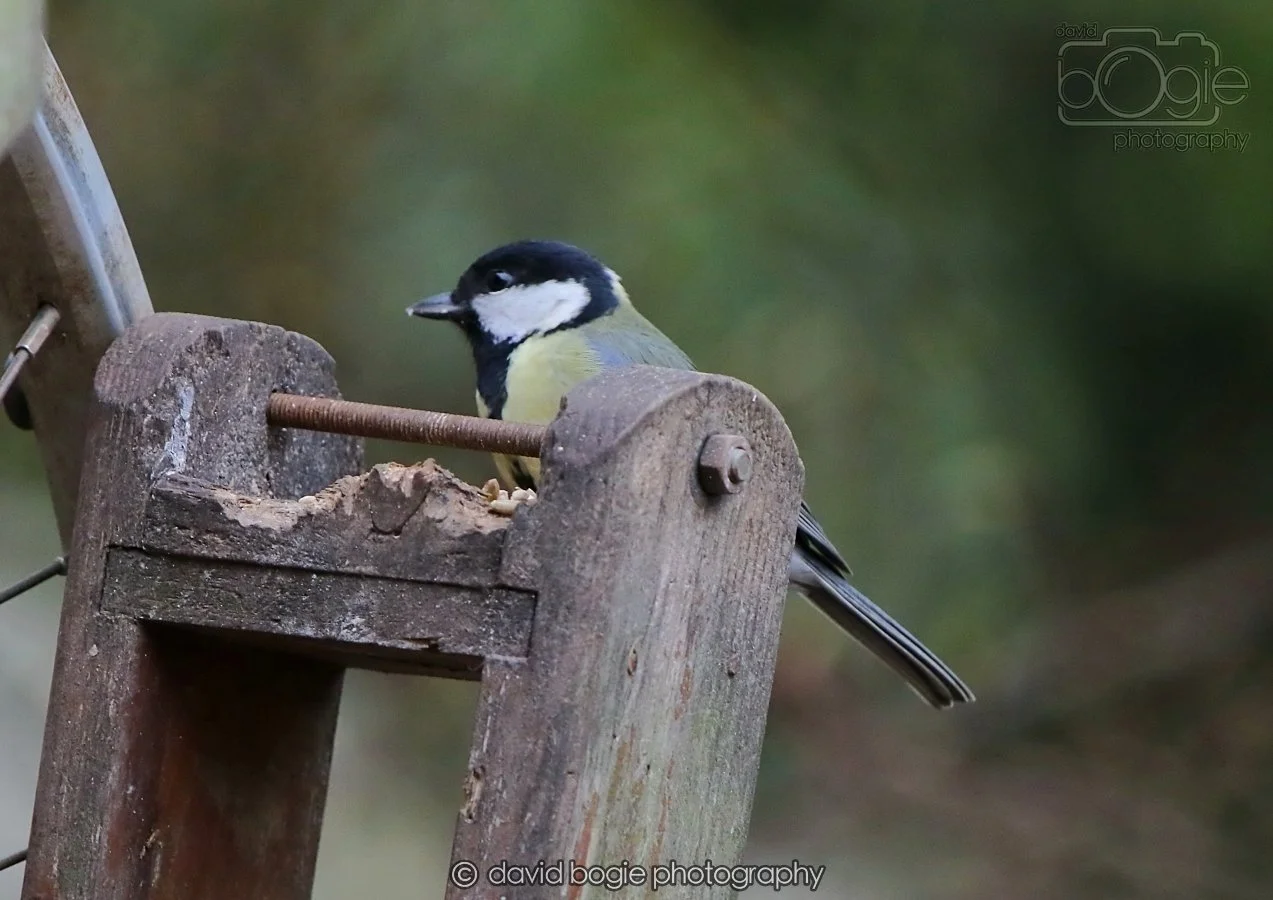 20260215 132120 Silverburn 0088.jpg