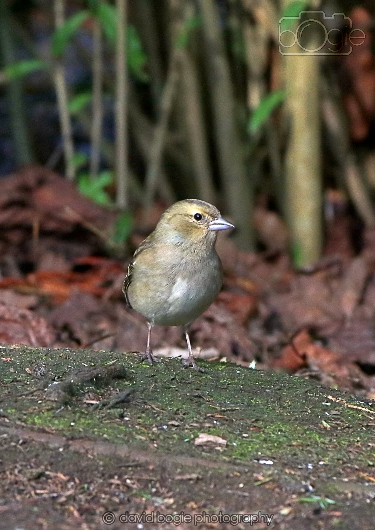 20260322 144951 Dunnikier 0194.jpg