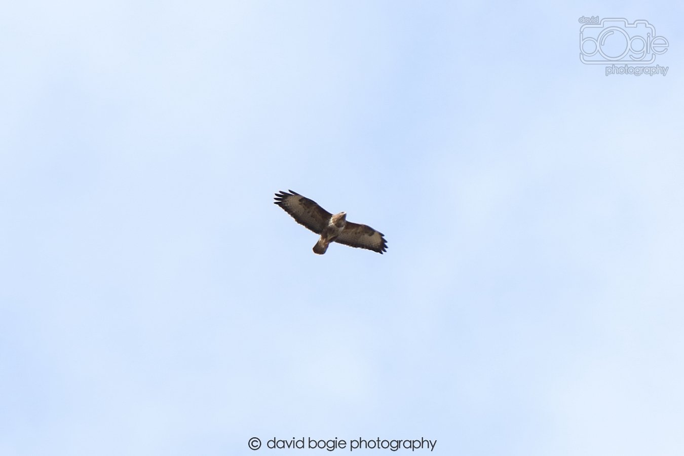 20260308 141239 Dunnikier 0020.jpg