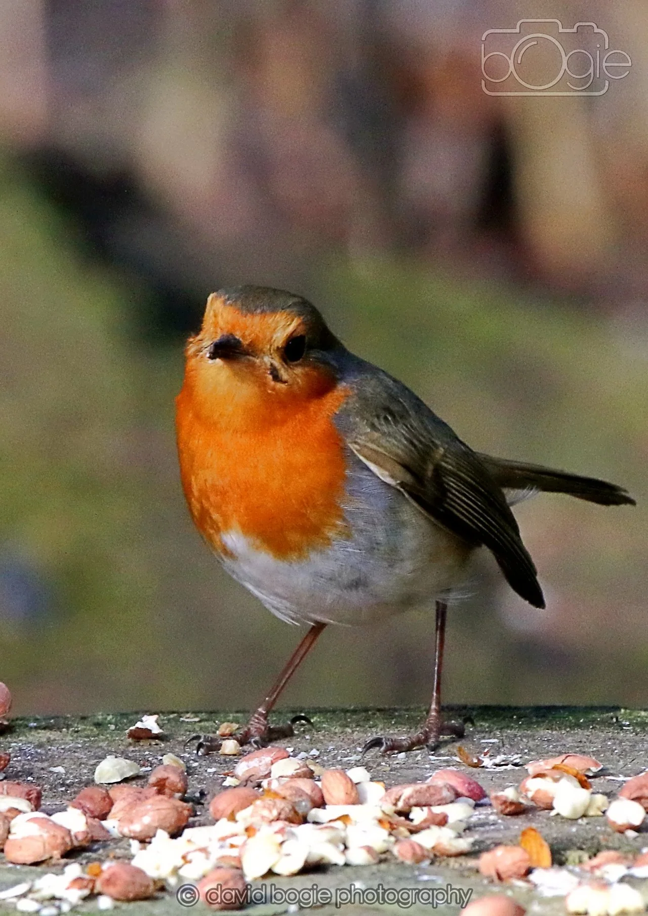 20260322 151157 Dunnikier 0281.jpg