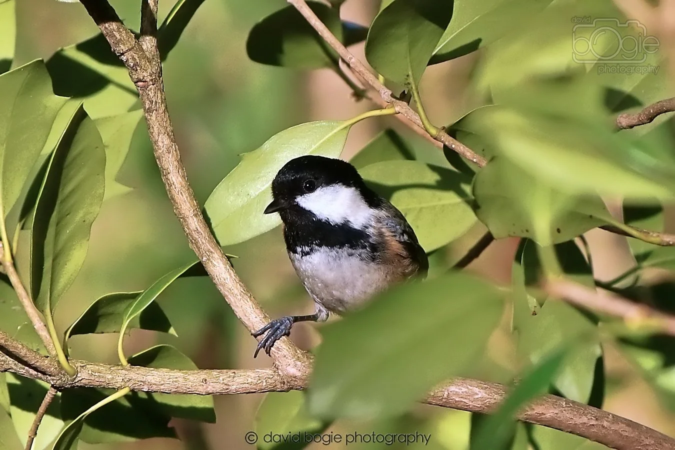 20260128 134728 Dunnikier 0293.jpg