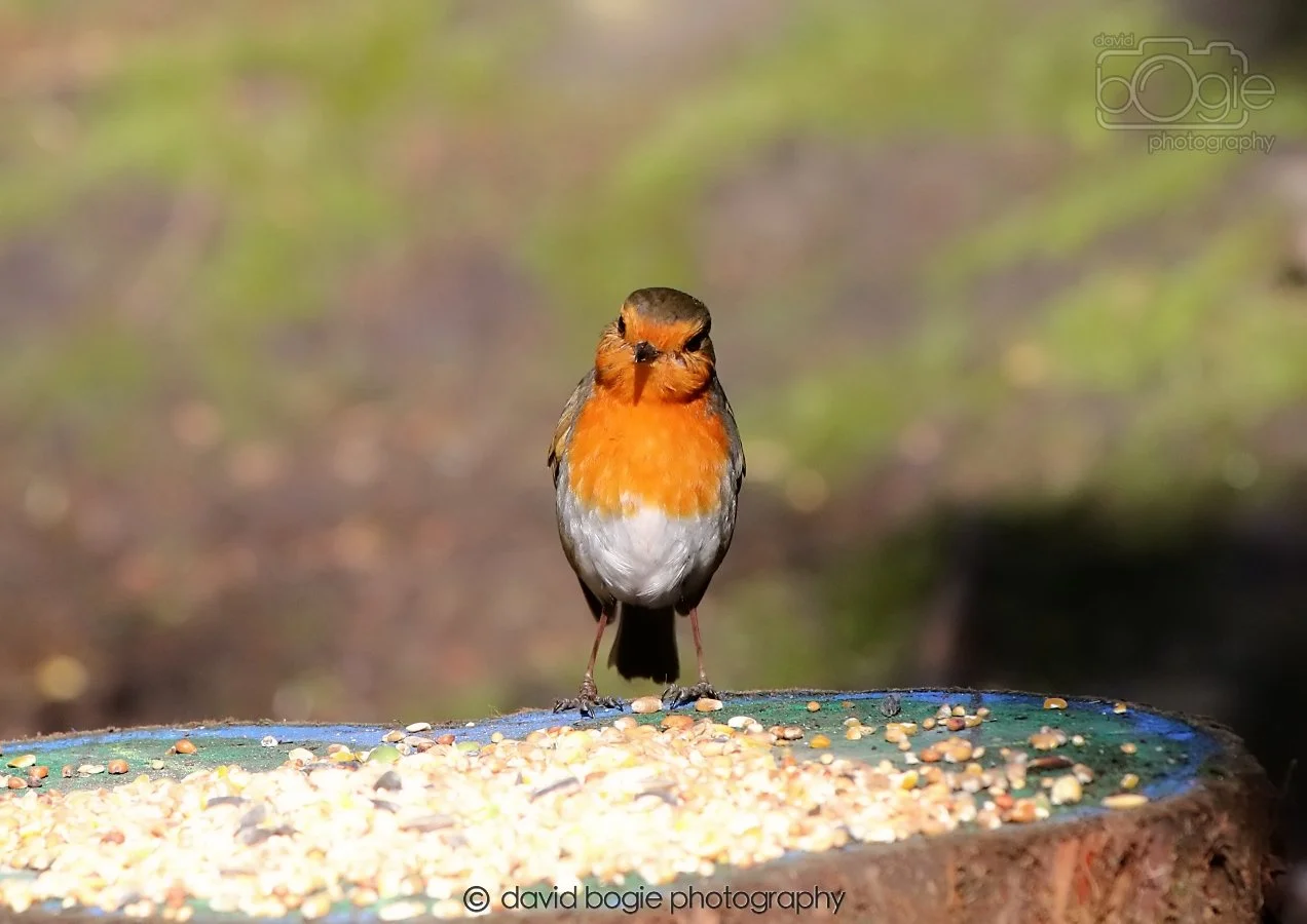 20260306 115221 Dunnikier 0310.jpg