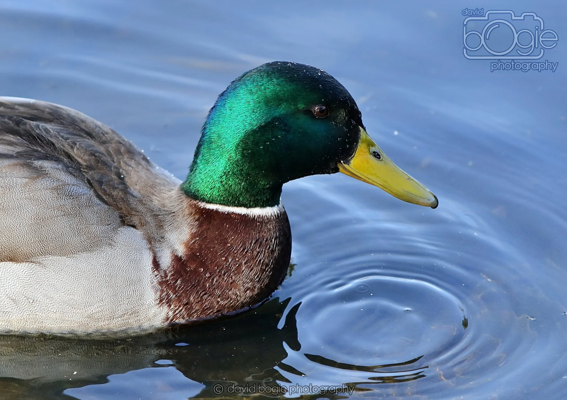 20260319 133424 Beveridge Park 0484.jpg