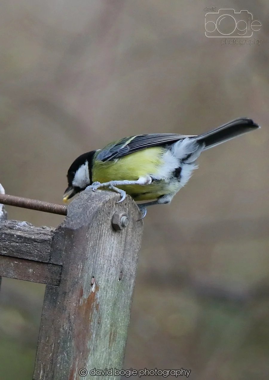 20260215 125715 Silverburn 0006.jpg