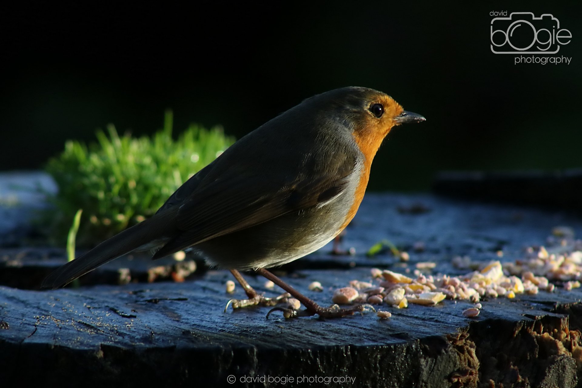 20251125 142944 Silverburn 0737.JPG