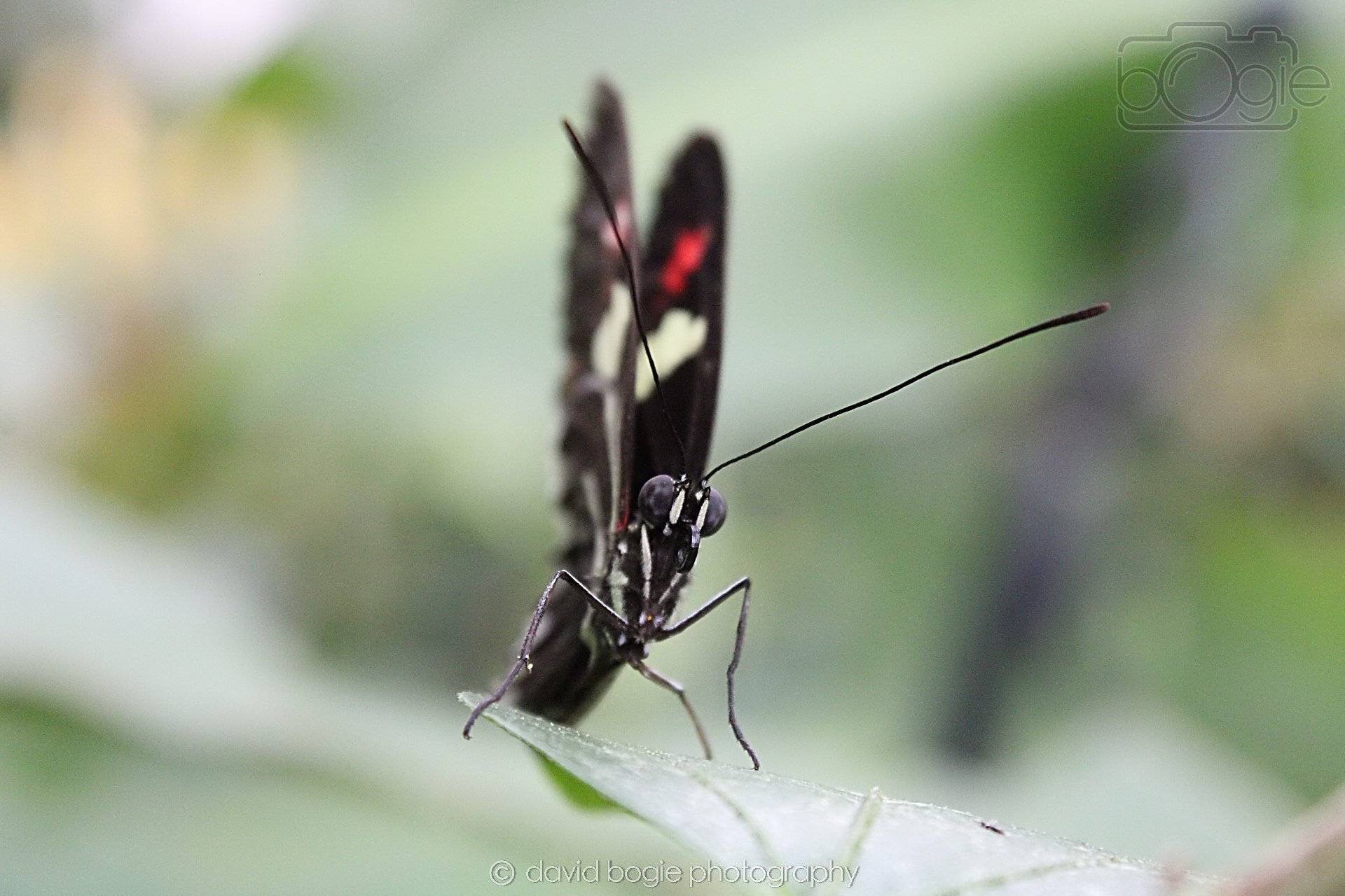 20191019 124002 Butterfly World 0020.jpg