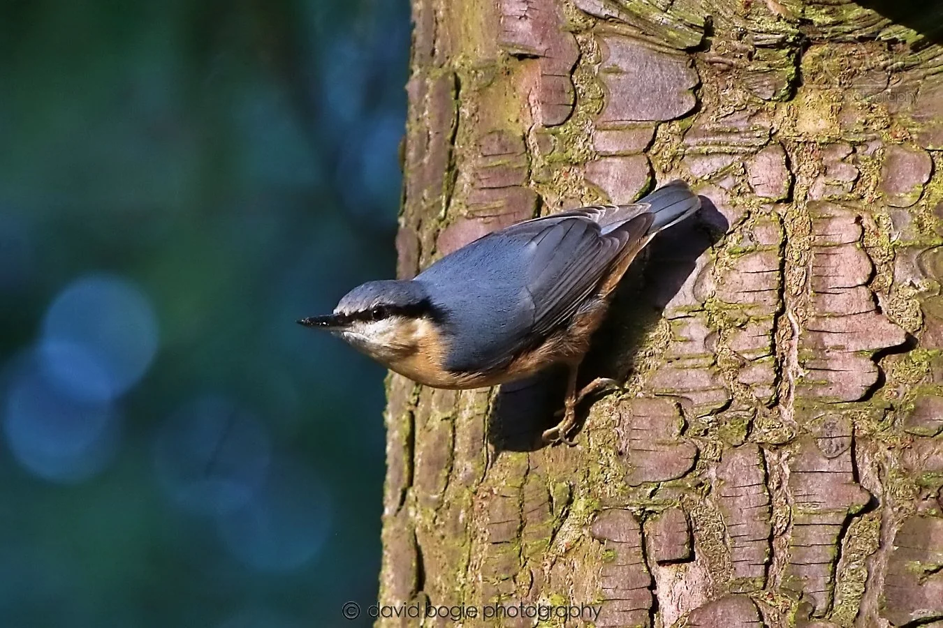 20260128 143406 Dunnikier 0404.jpg