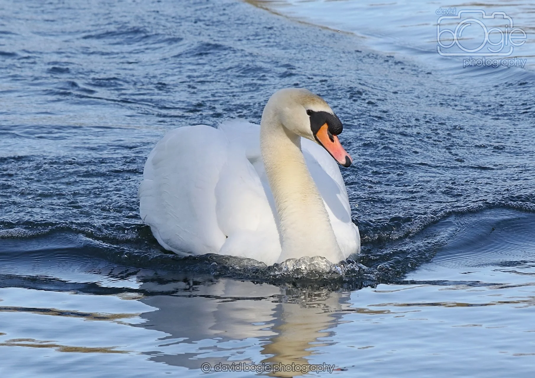 20260319 113014 Beveridge Park 0072.jpg