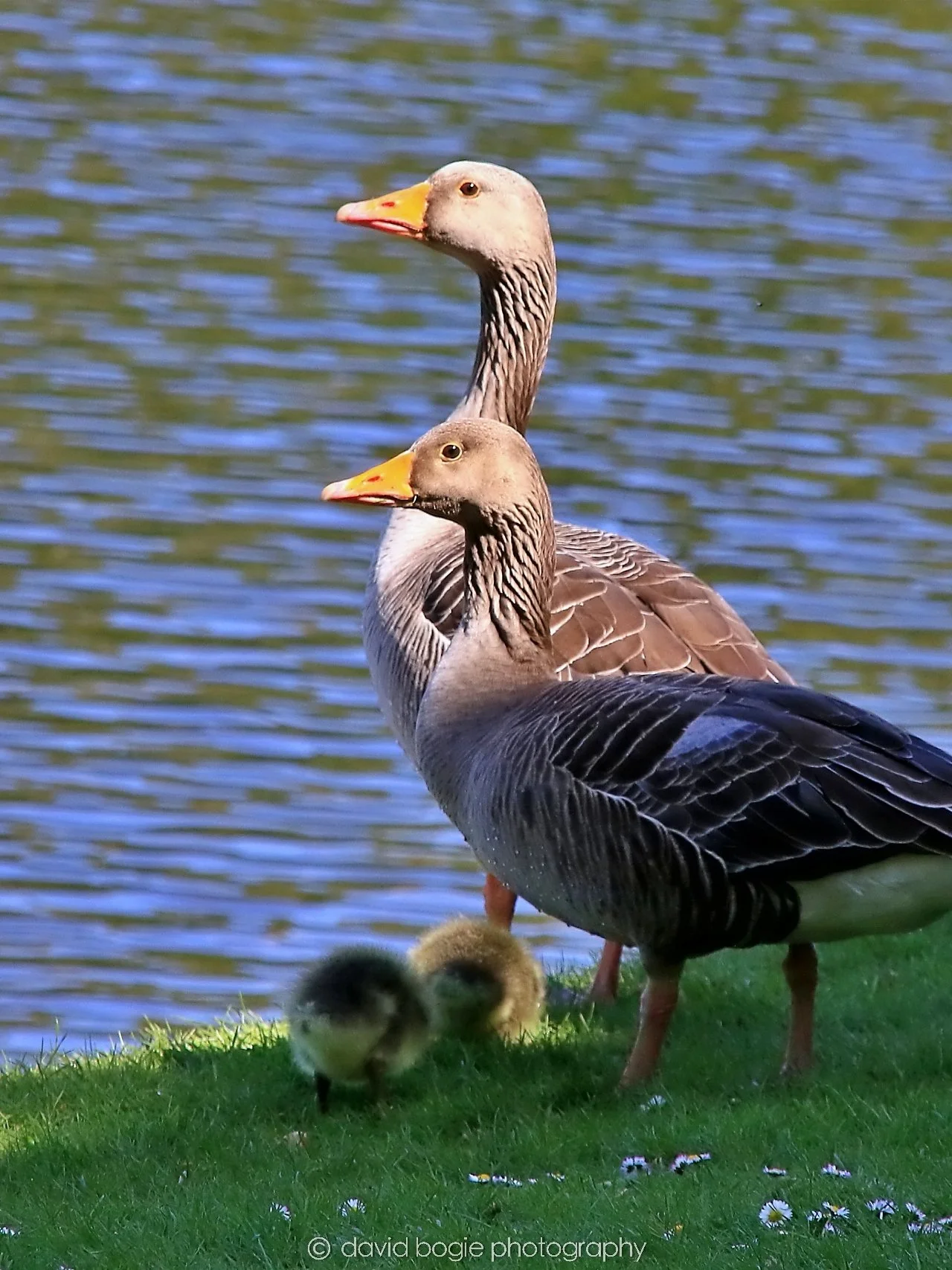 YEAR20250505 140006 Beveridge Park 1029.jpg