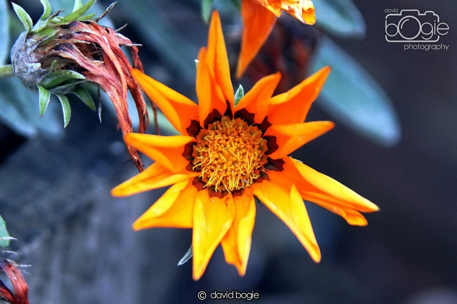 20211205 202804 Kinglassie 0002.JPG