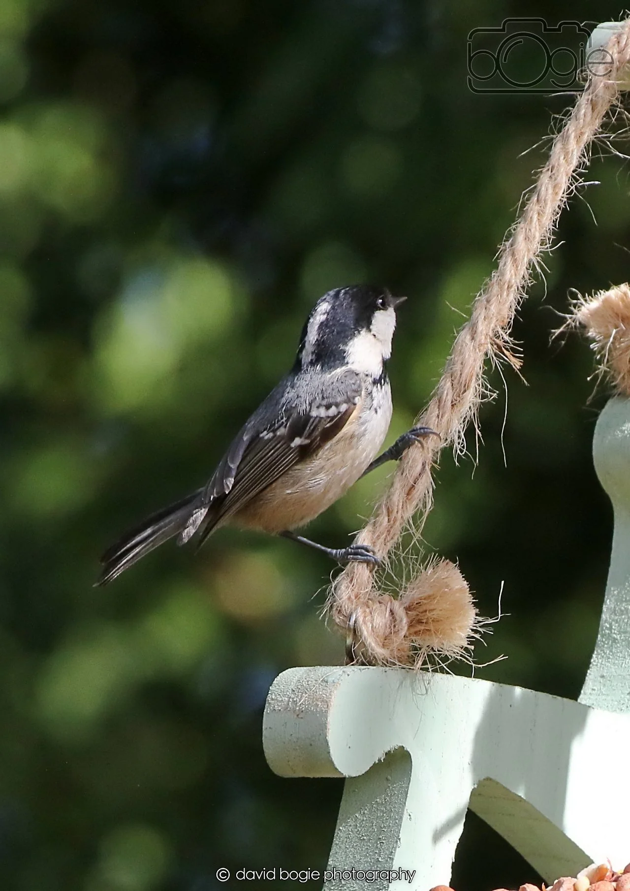 20260403 121958 Dunnikier 0151.jpg