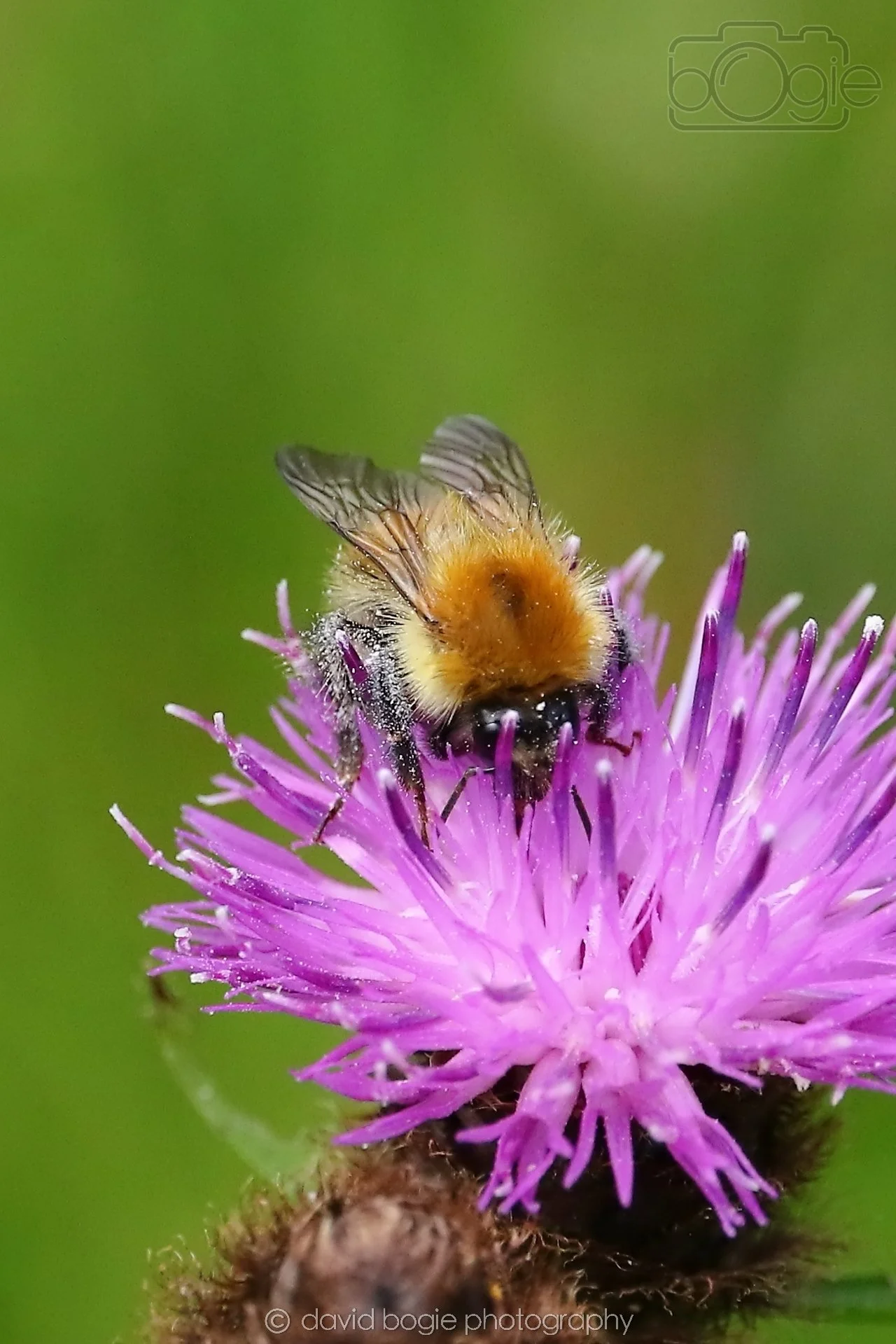 20260623 114831 Falkland 0315.jpg