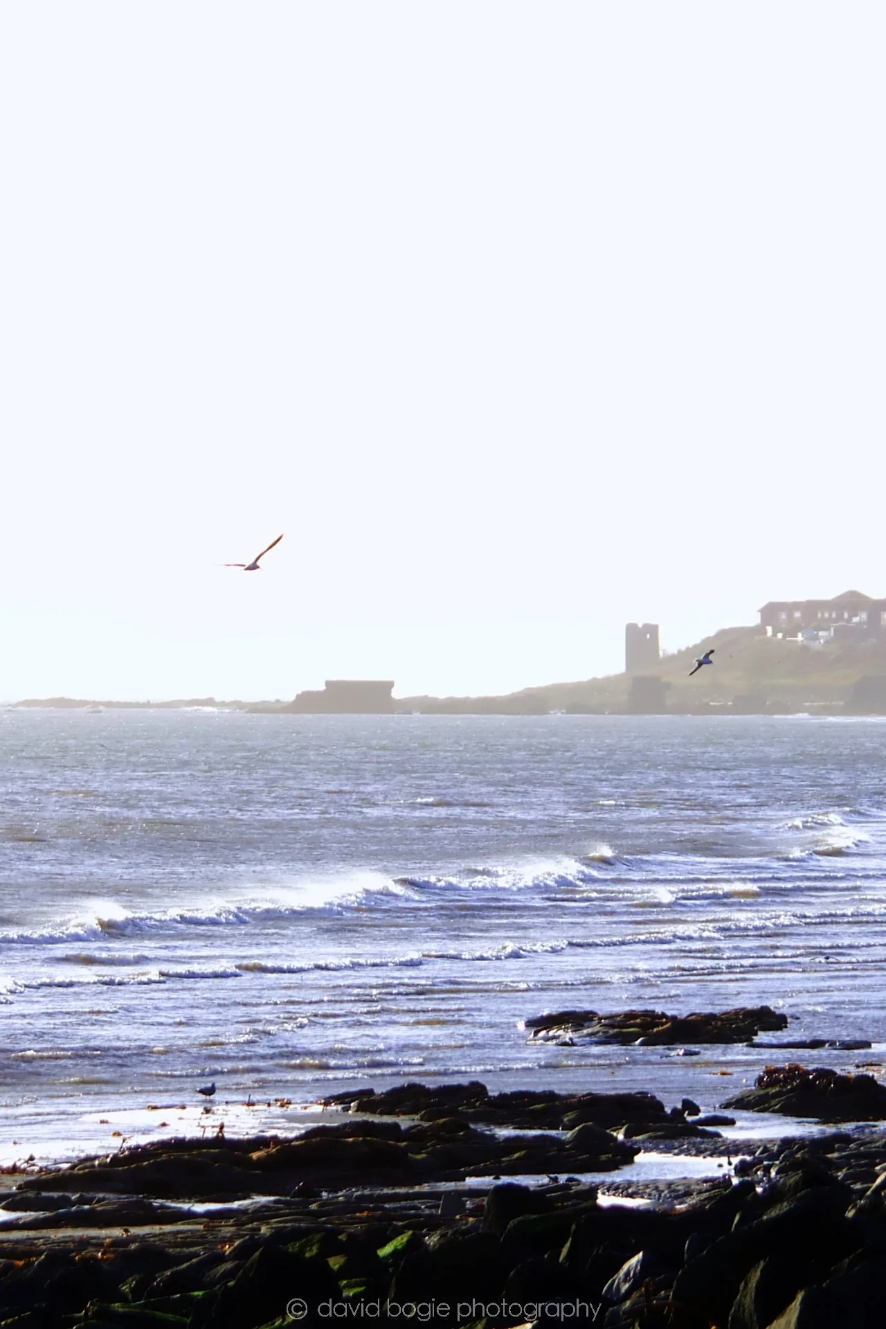YEAR20221125 Kirkcaldy 5 .jpg