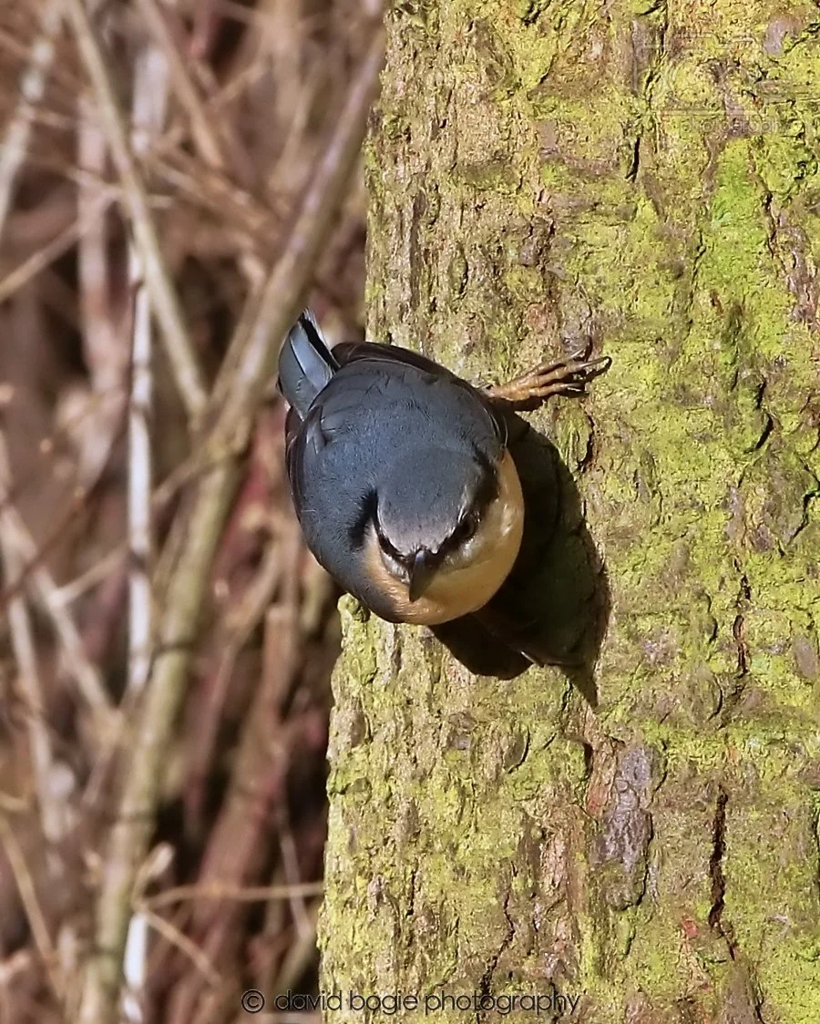 20260128 134207 Dunnikier 0259.jpg