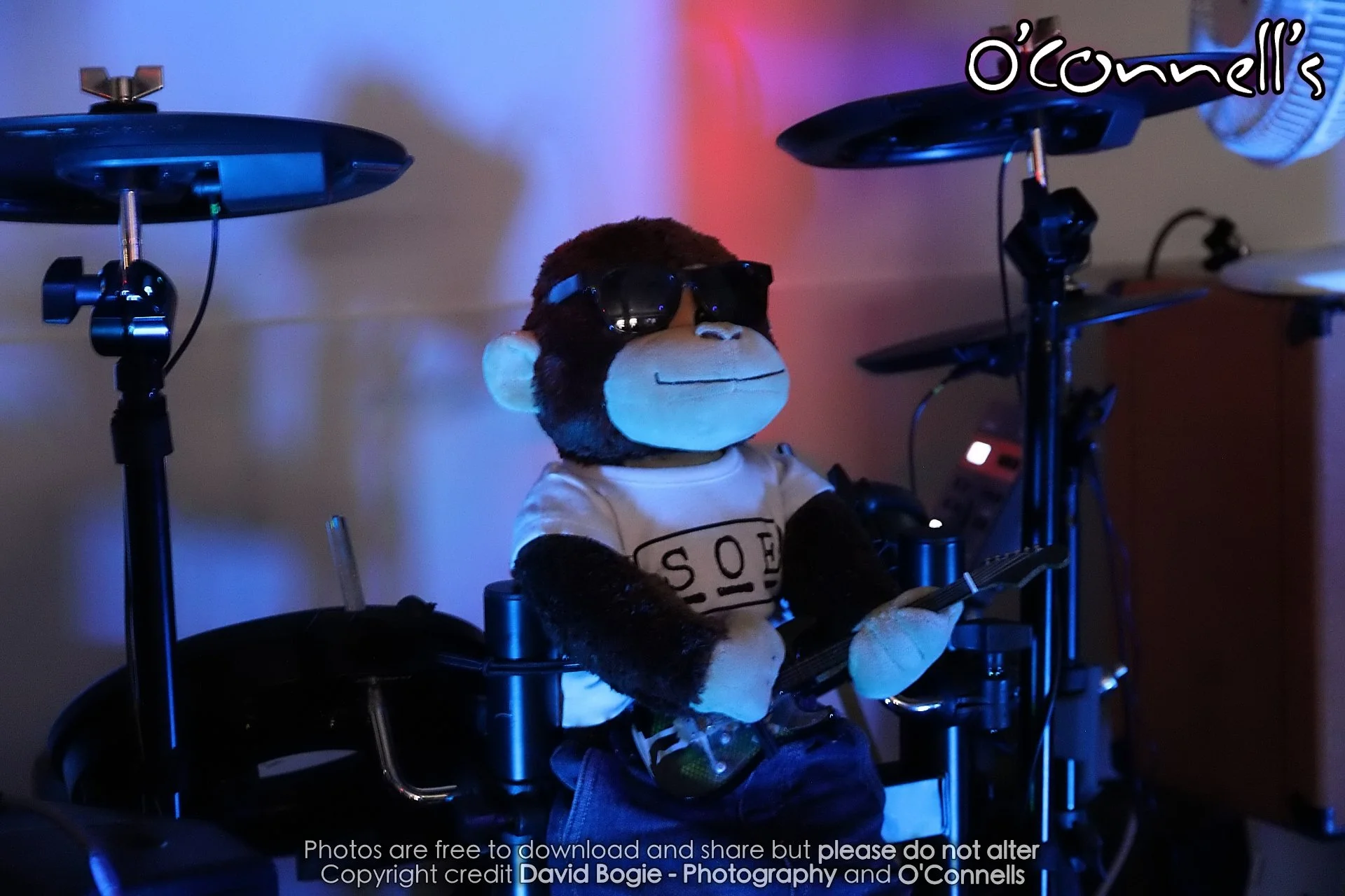 20230728 O'connell's IMG_0061.jpg