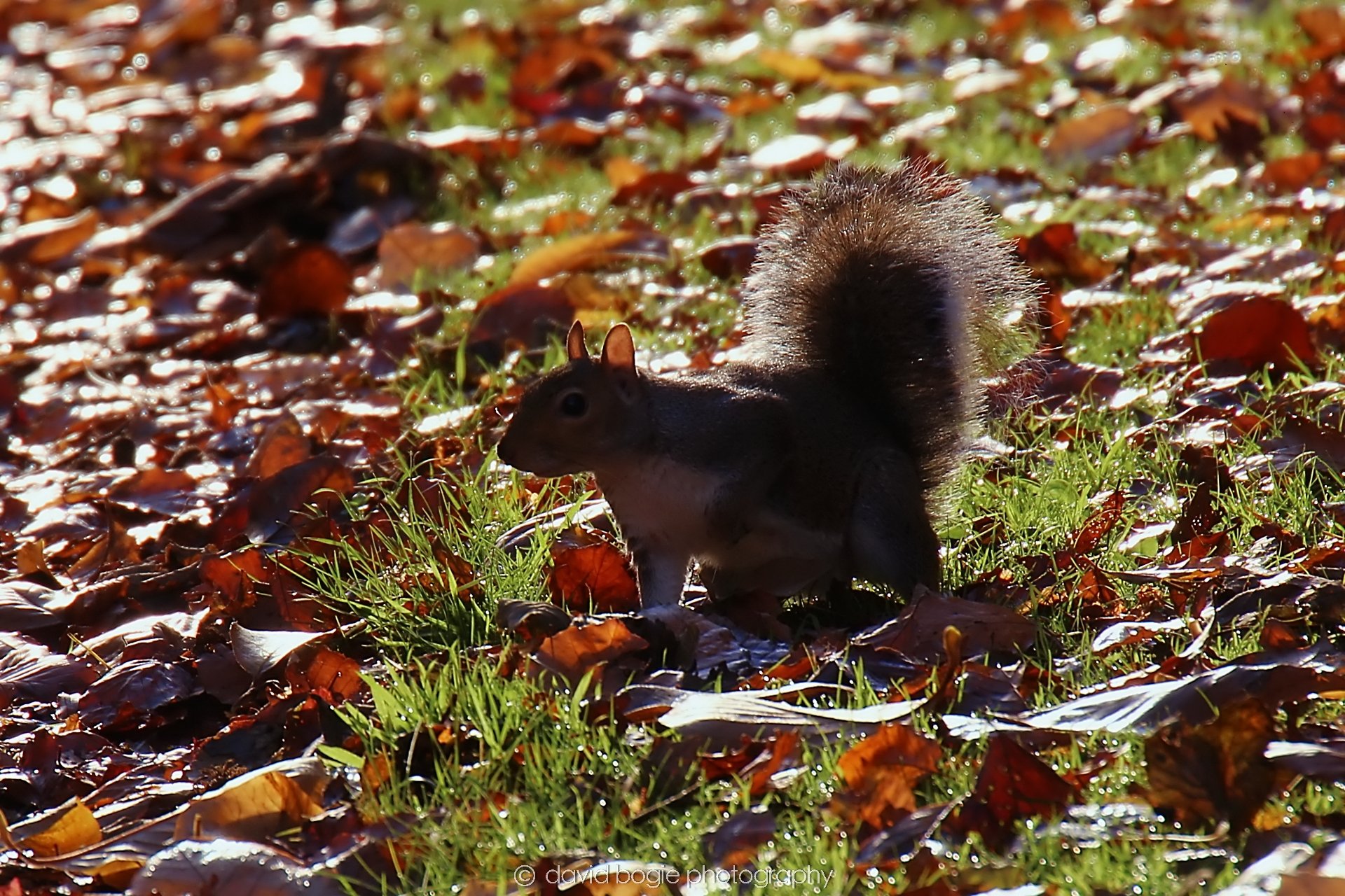 YEAR20231107 Beveridge Park 0289.jpg