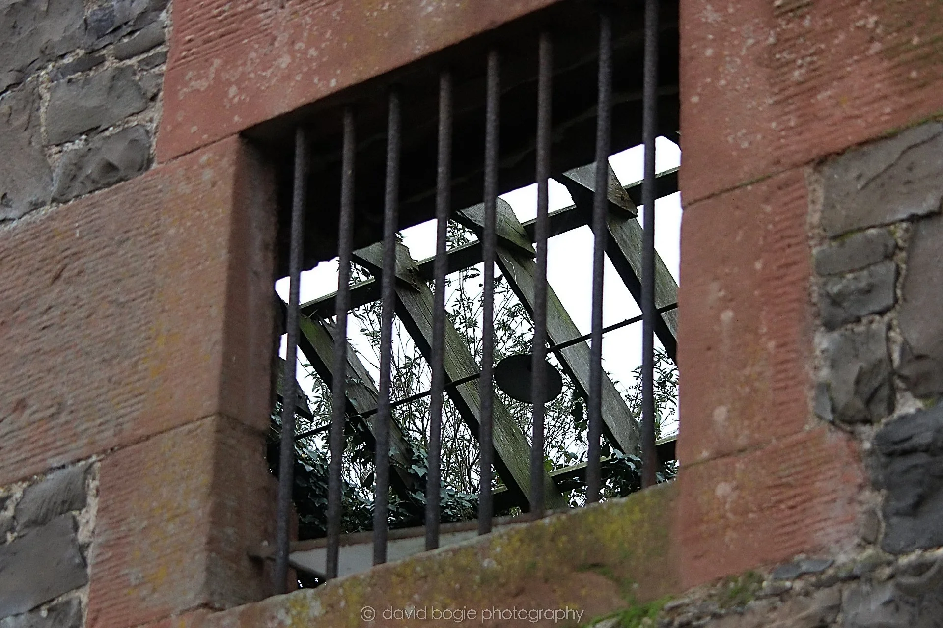 YEAR20221114 Auchtermuchty 59.jpg