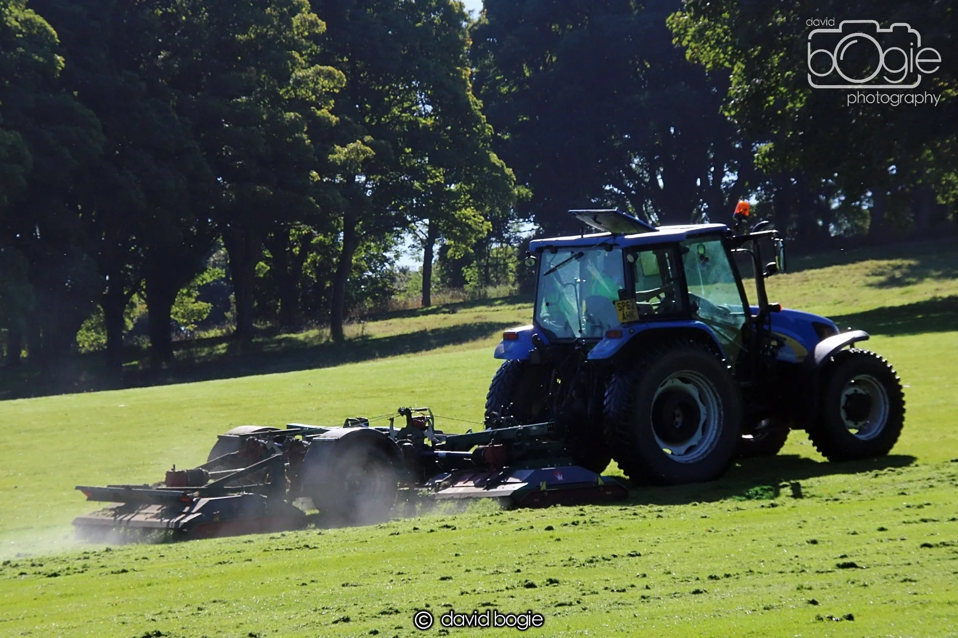 20240918 113832 Beveridge 0126 (1).JPG