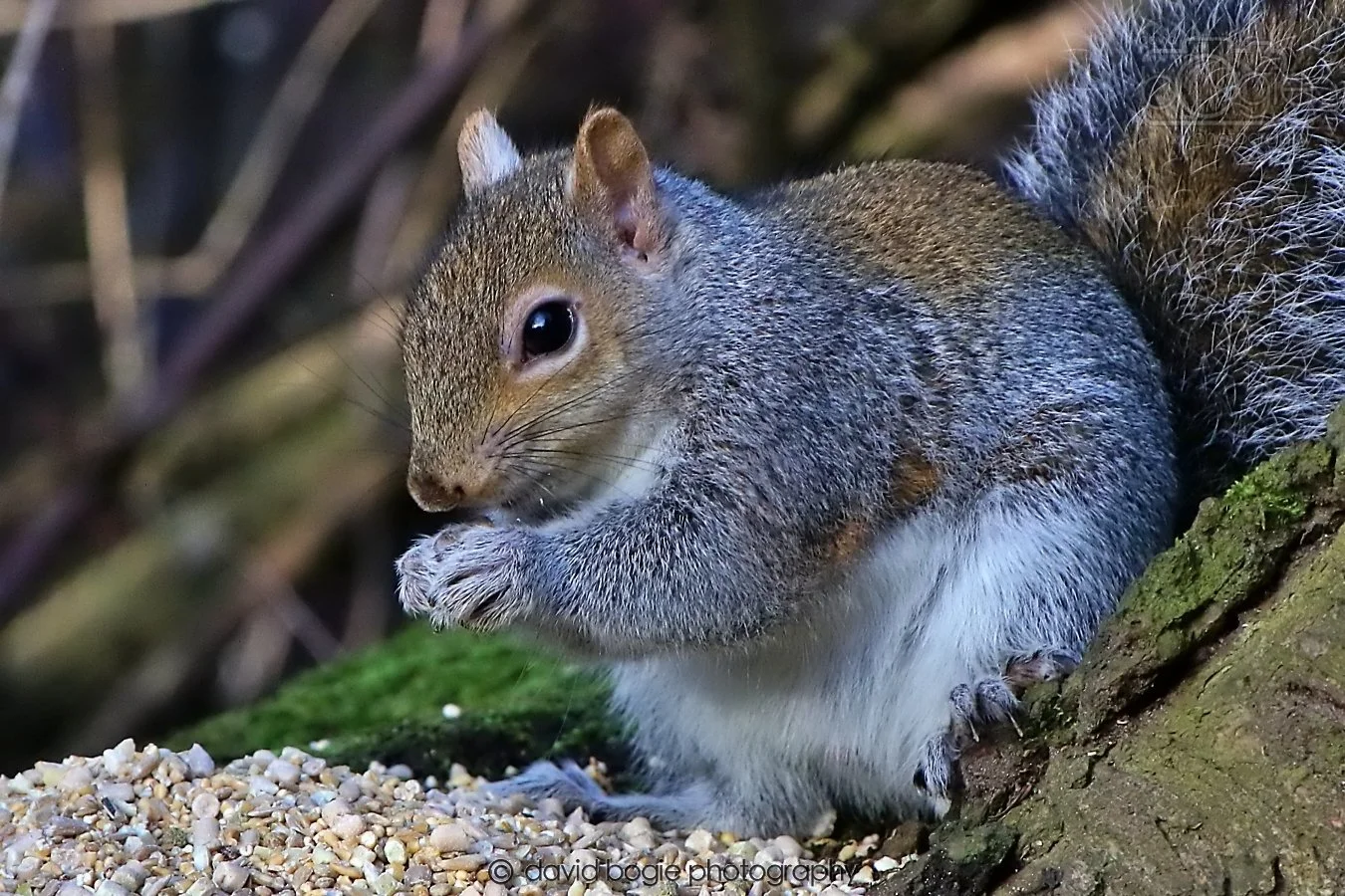 20260128 142609 Dunnikier 0369.jpg