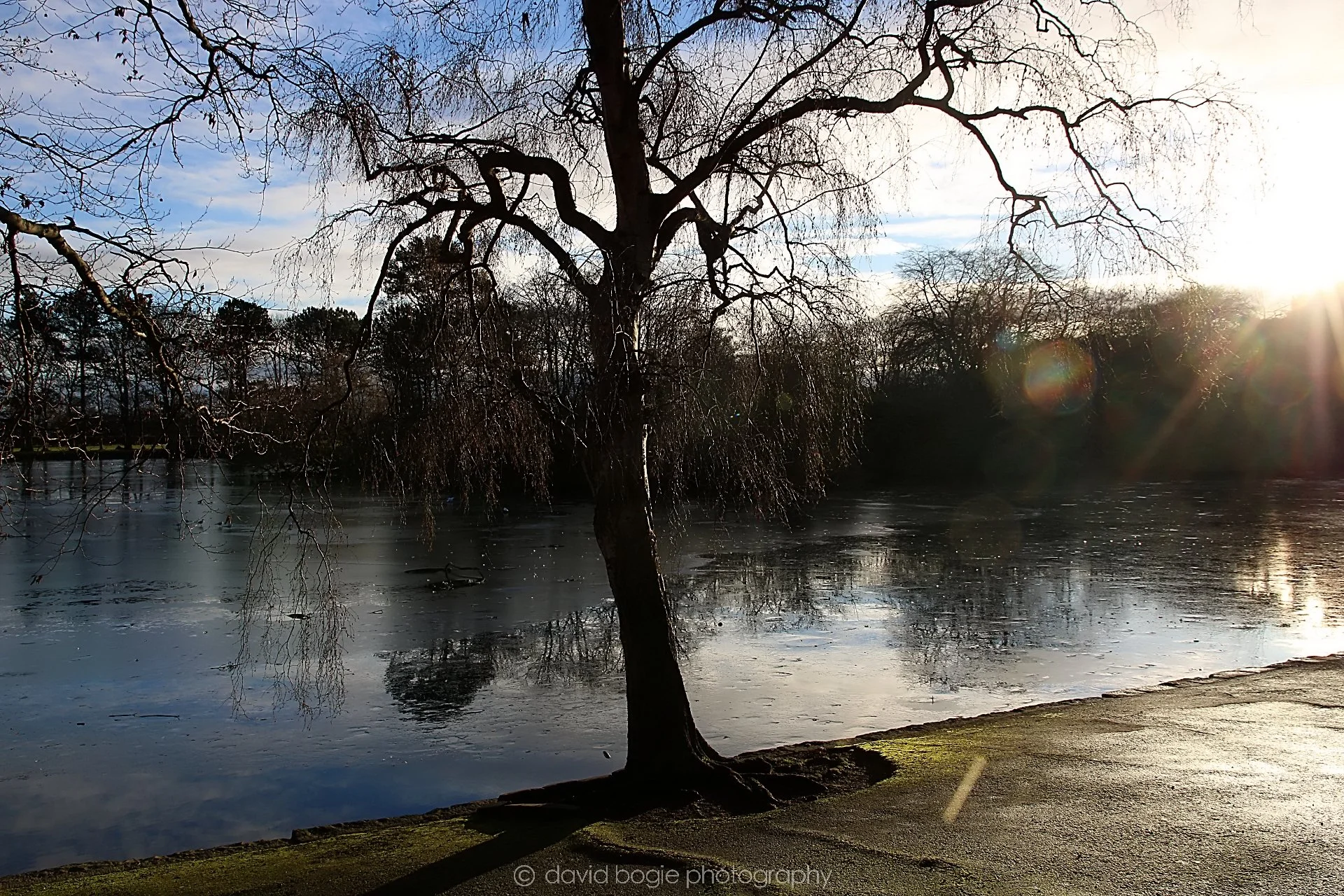 YEAR20221222 Beveridge Park 00008.jpg