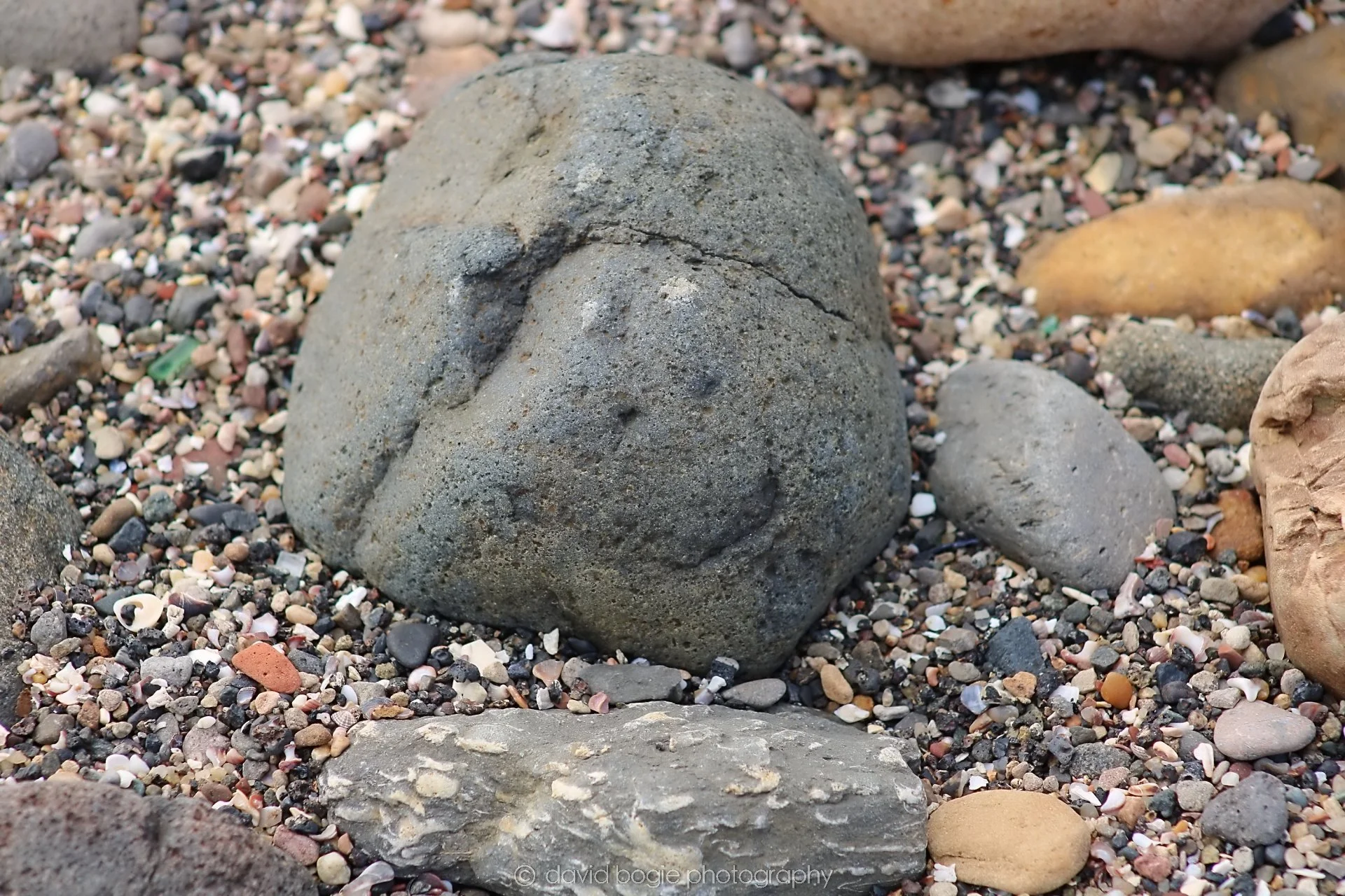 20190829 105144 Kirkcaldy 0007.jpg