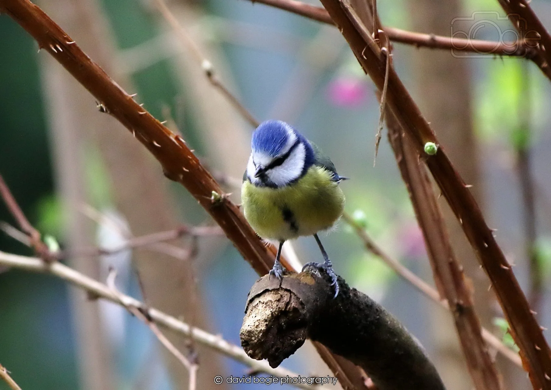 20260326 113333 Silverburn 0195.jpg