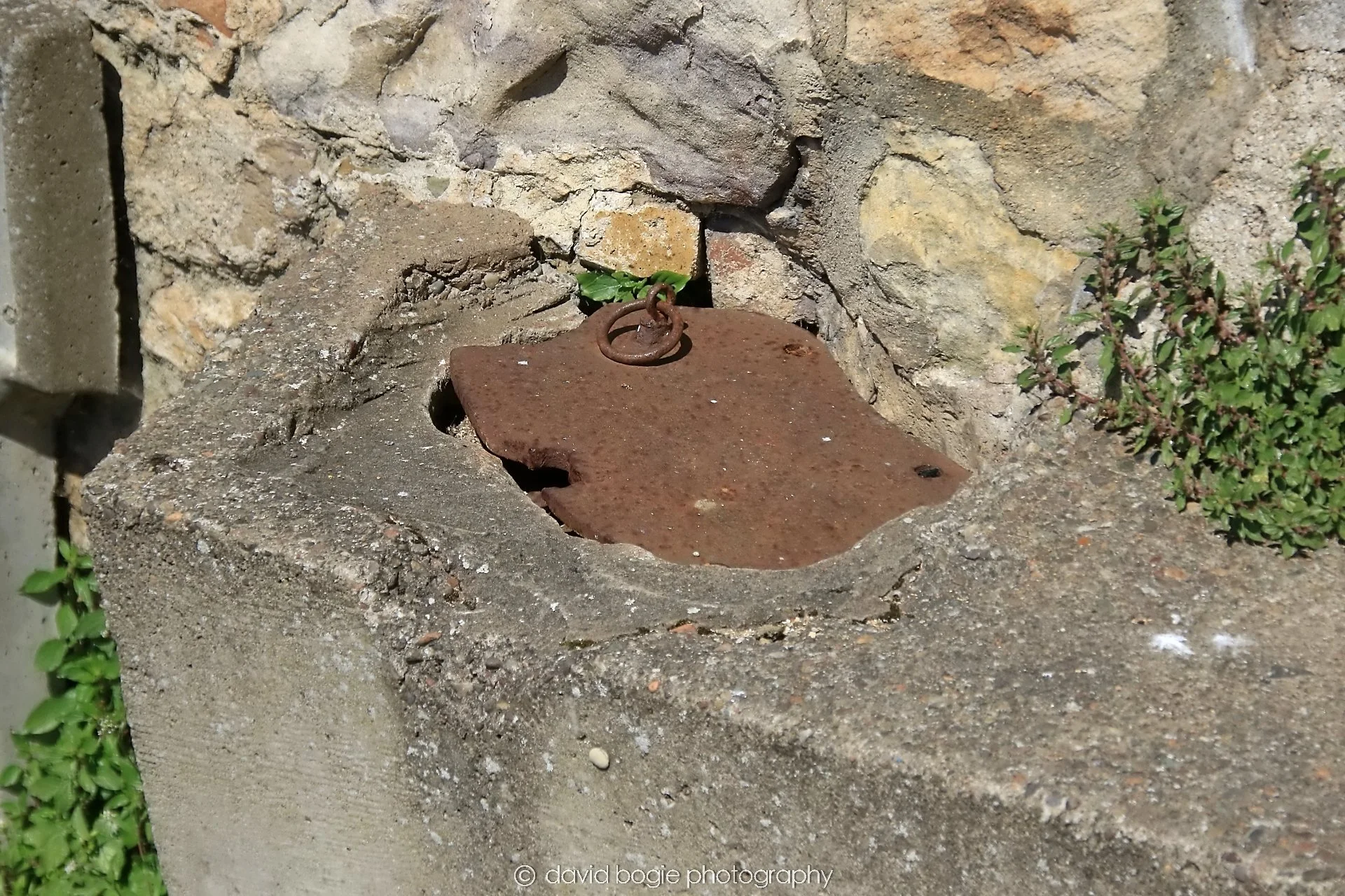YEAR20250509 120039 Crail 0191.jpg