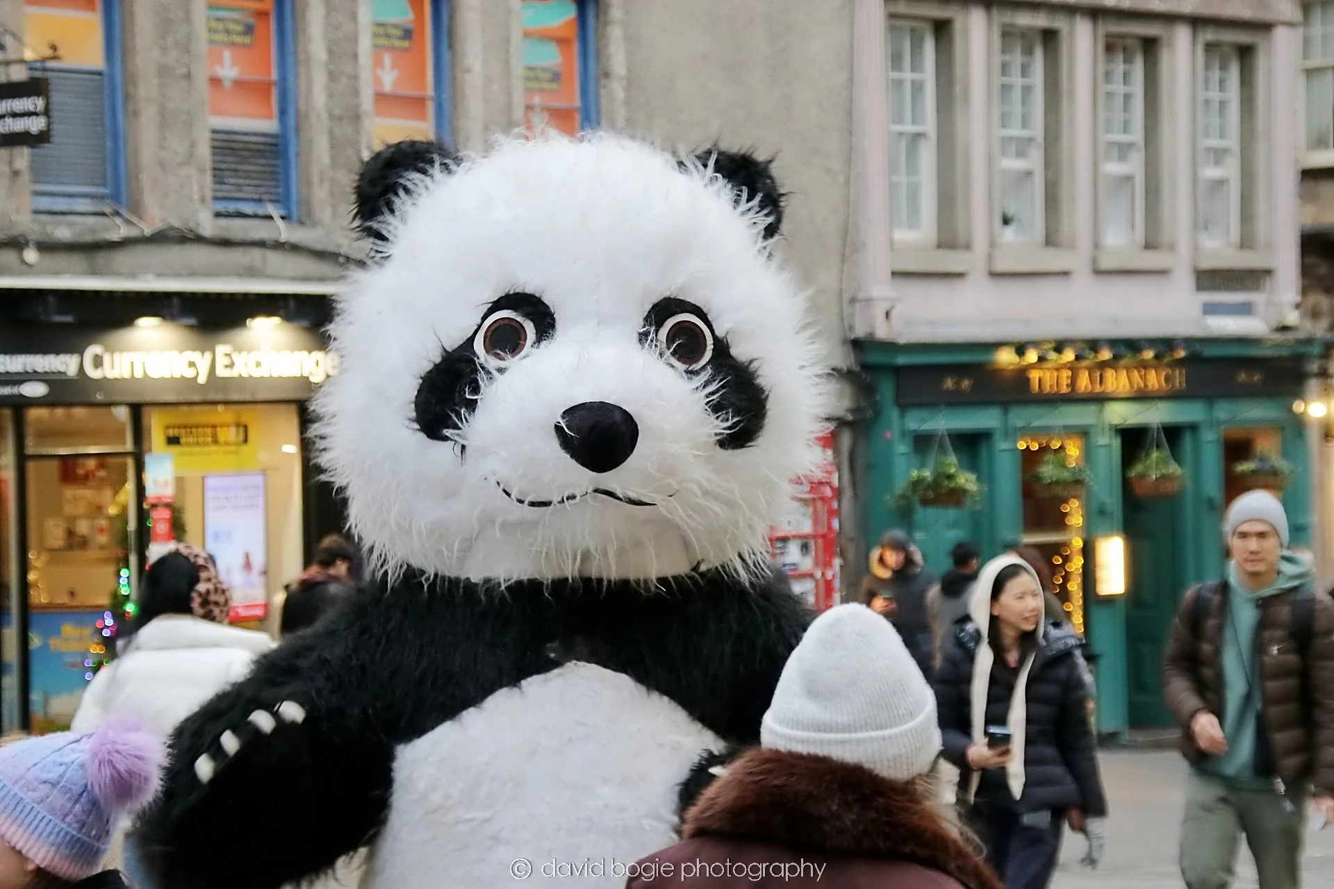YEAR20251228 151400 Edinburgh 0574.jpg