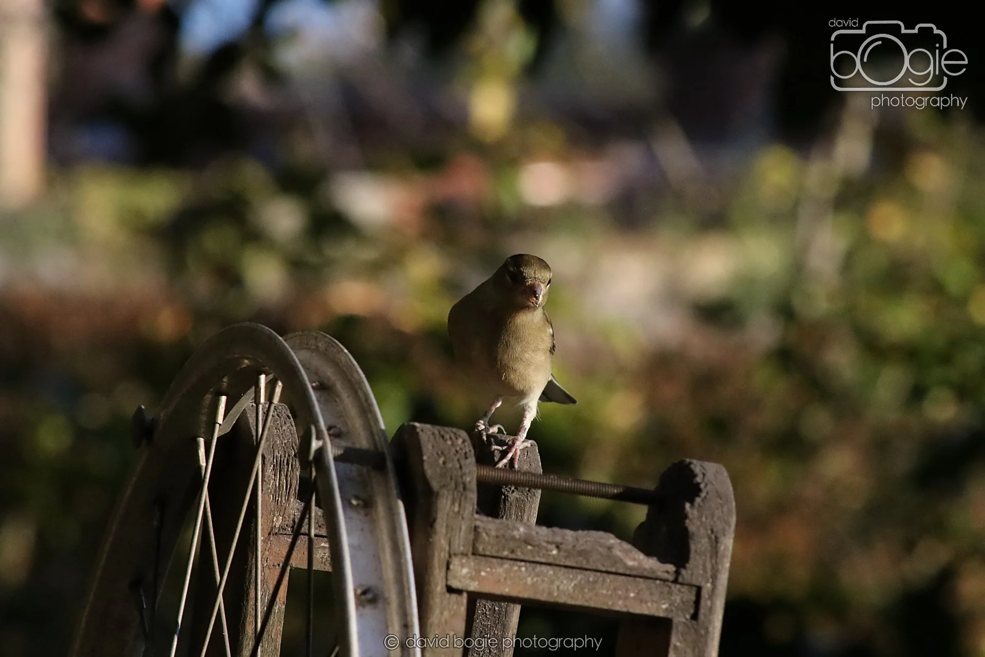 20251125 141332 Silverburn 0644.JPG