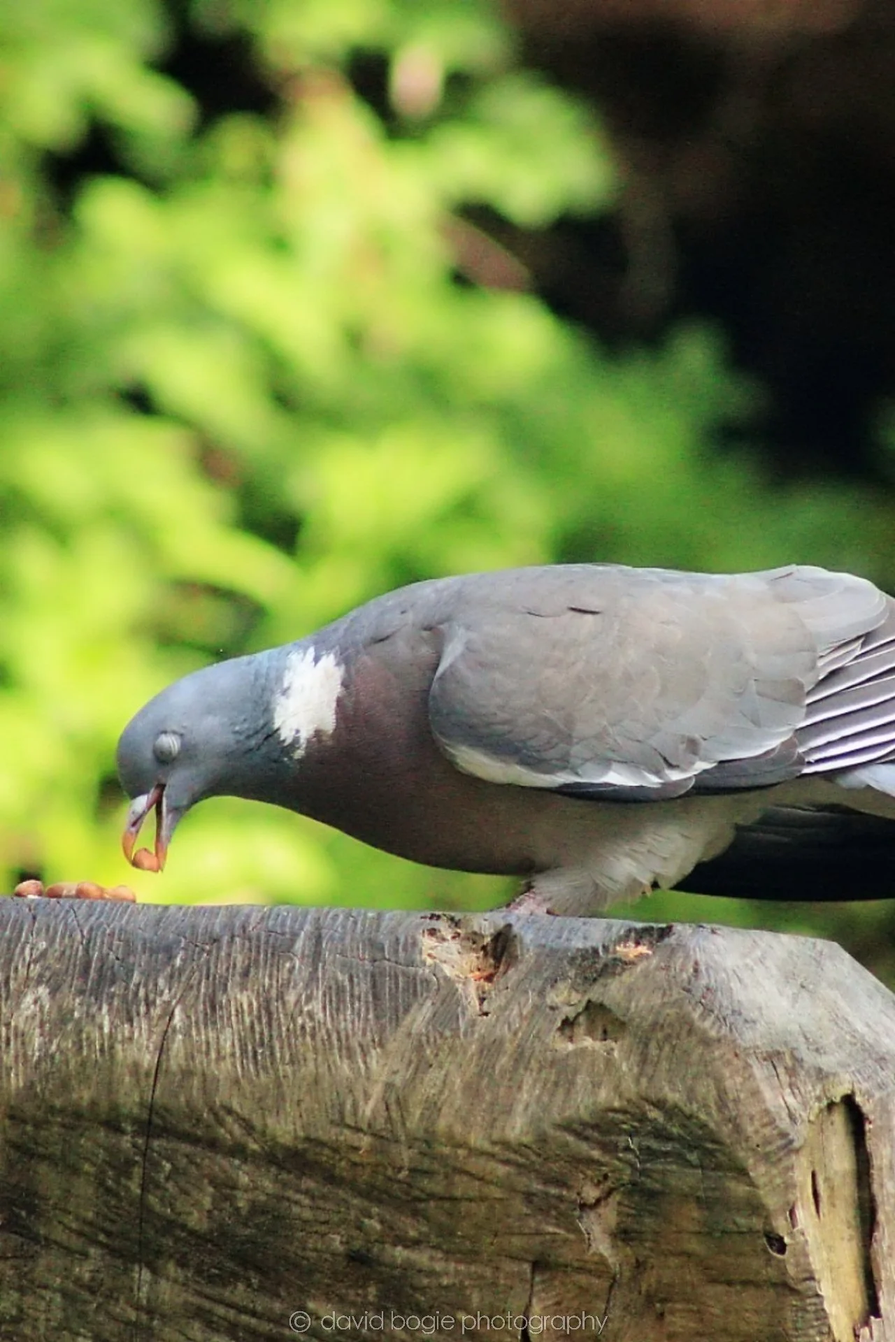 20190523 152647 Ravenscraig 0004.jpg