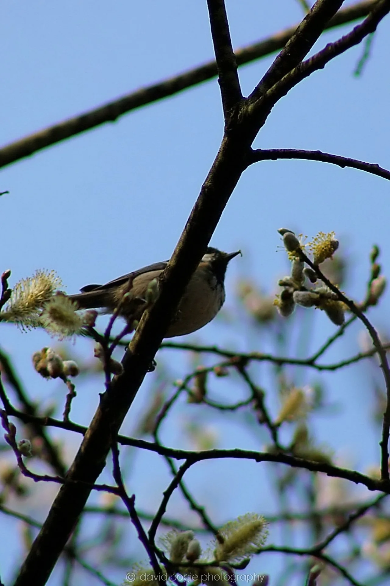 20190419 174740 Dunnikier 0008.jpg