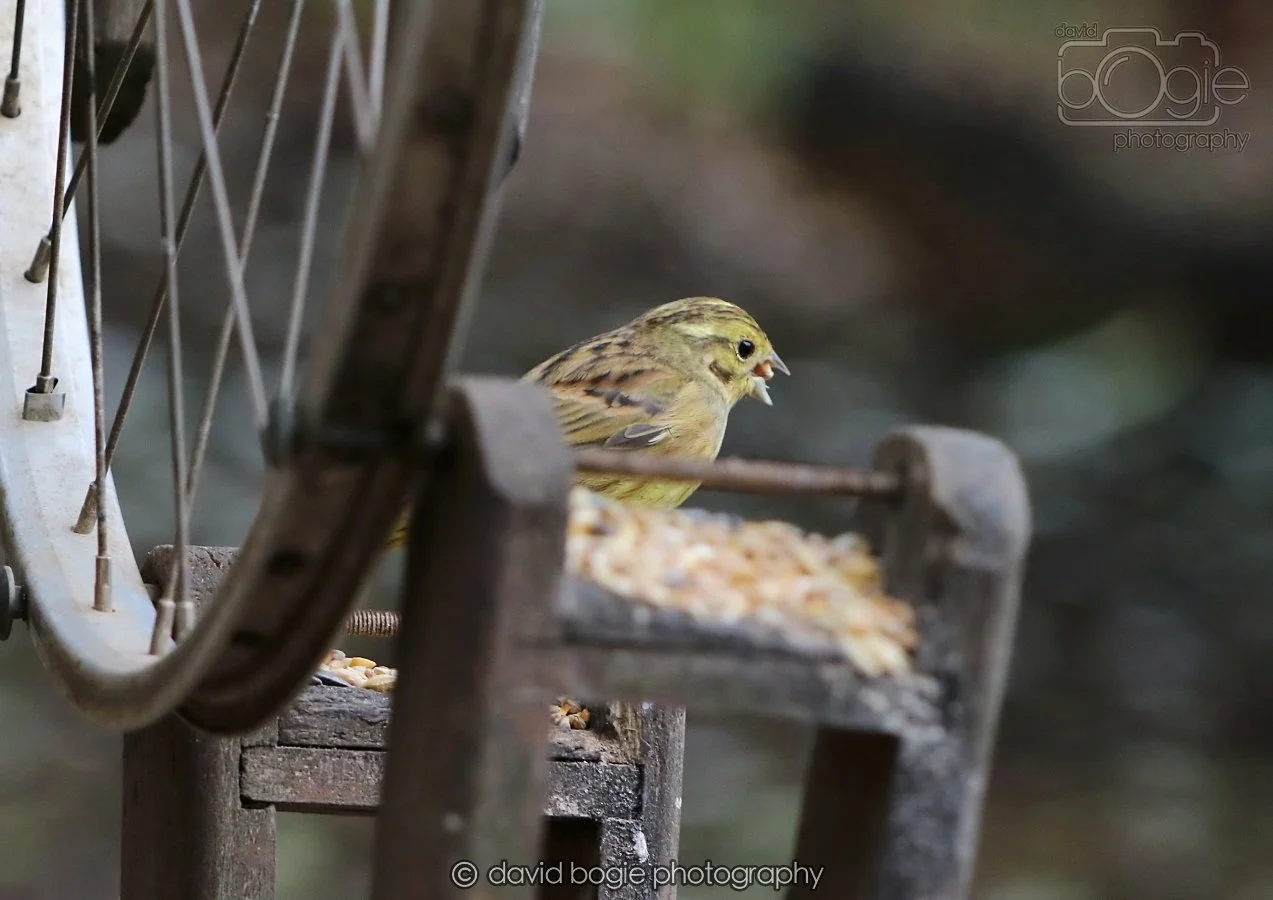 20260215 131533 Silverburn 0060.jpg