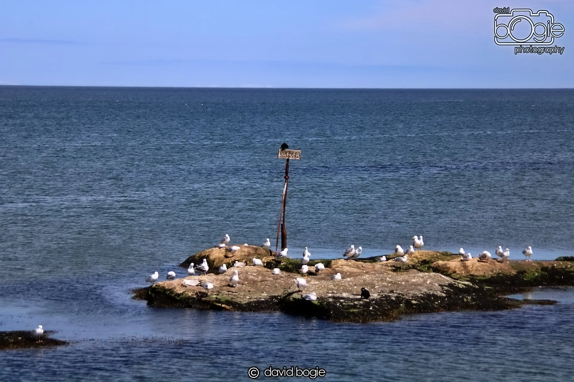 20210606 162232 St Andrews 0021.JPG