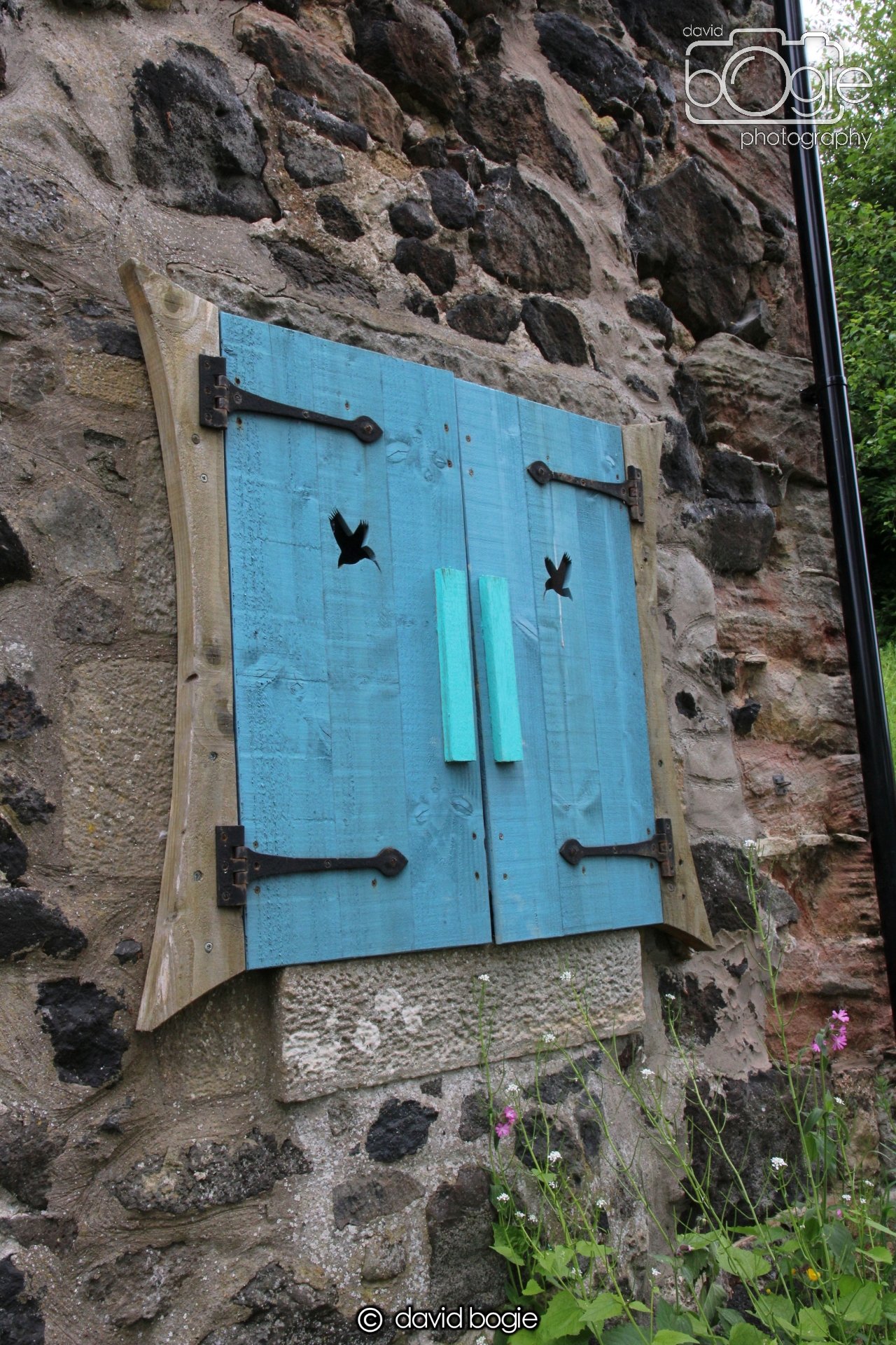 20230606 115858 Kinghorn 0031.jpg